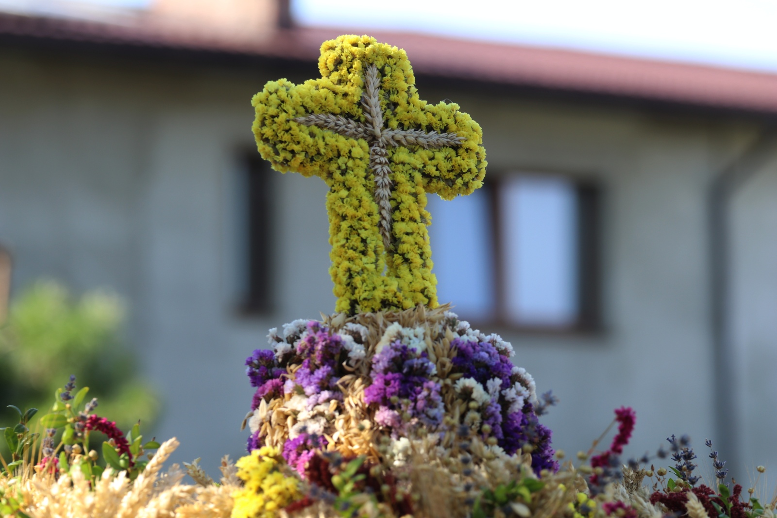 Mieszkańcy gminy Prochowice bawią się na dożynkach gminnych