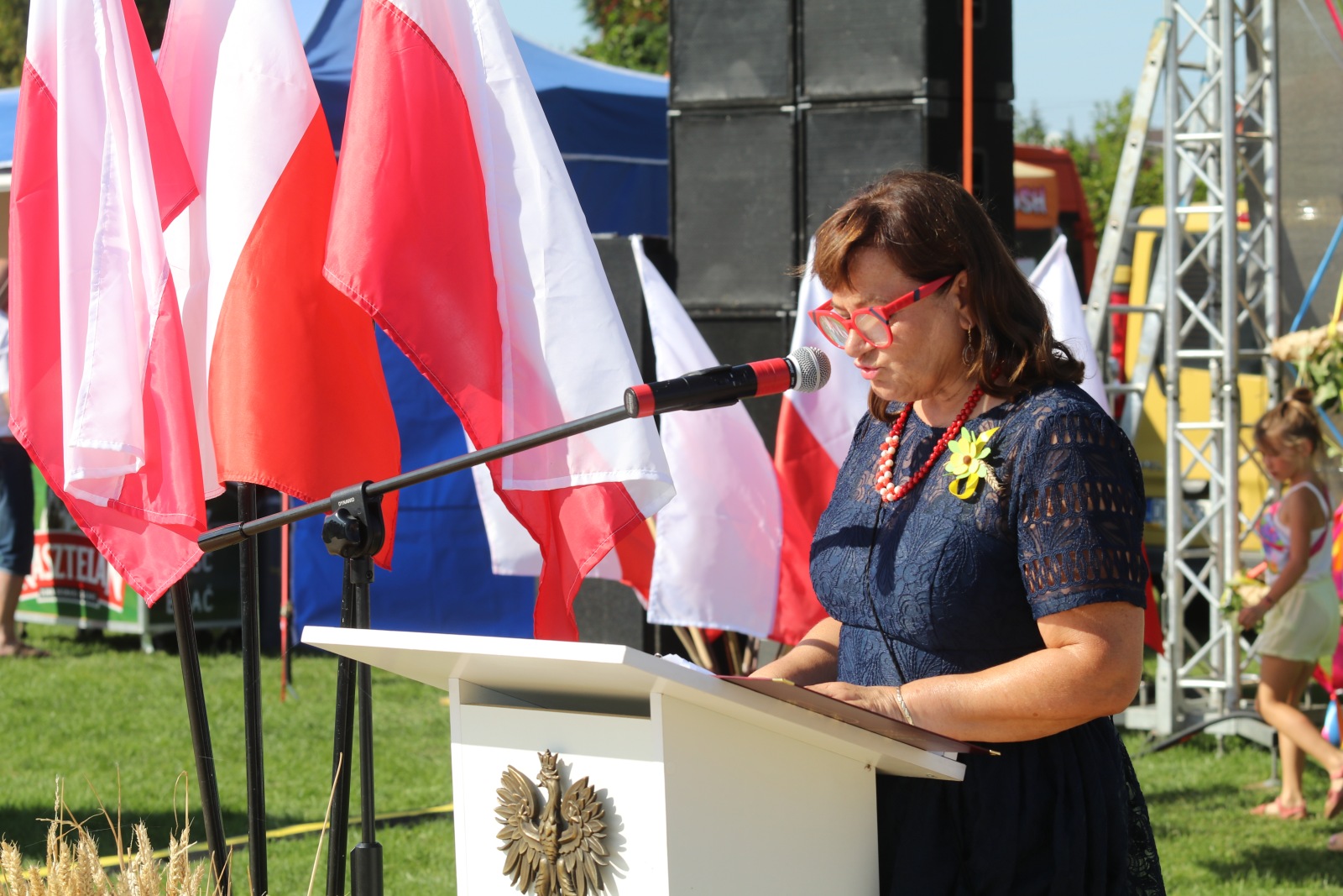 Mieszkańcy gminy Prochowice bawią się na dożynkach gminnych