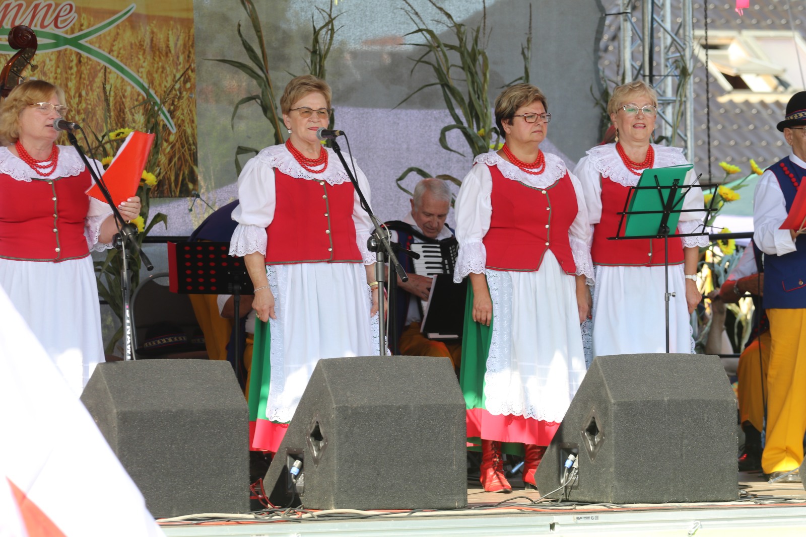 Mieszkańcy gminy Prochowice bawią się na dożynkach gminnych
