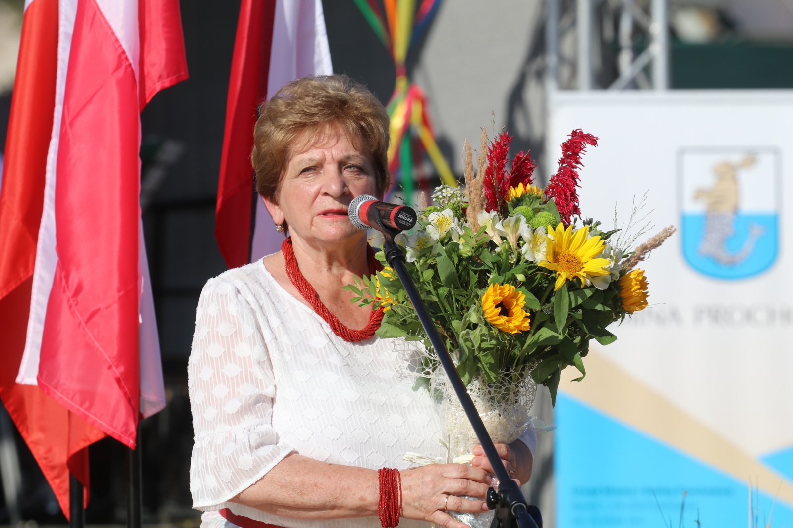 Mieszkańcy gminy Prochowice bawią się na dożynkach gminnych