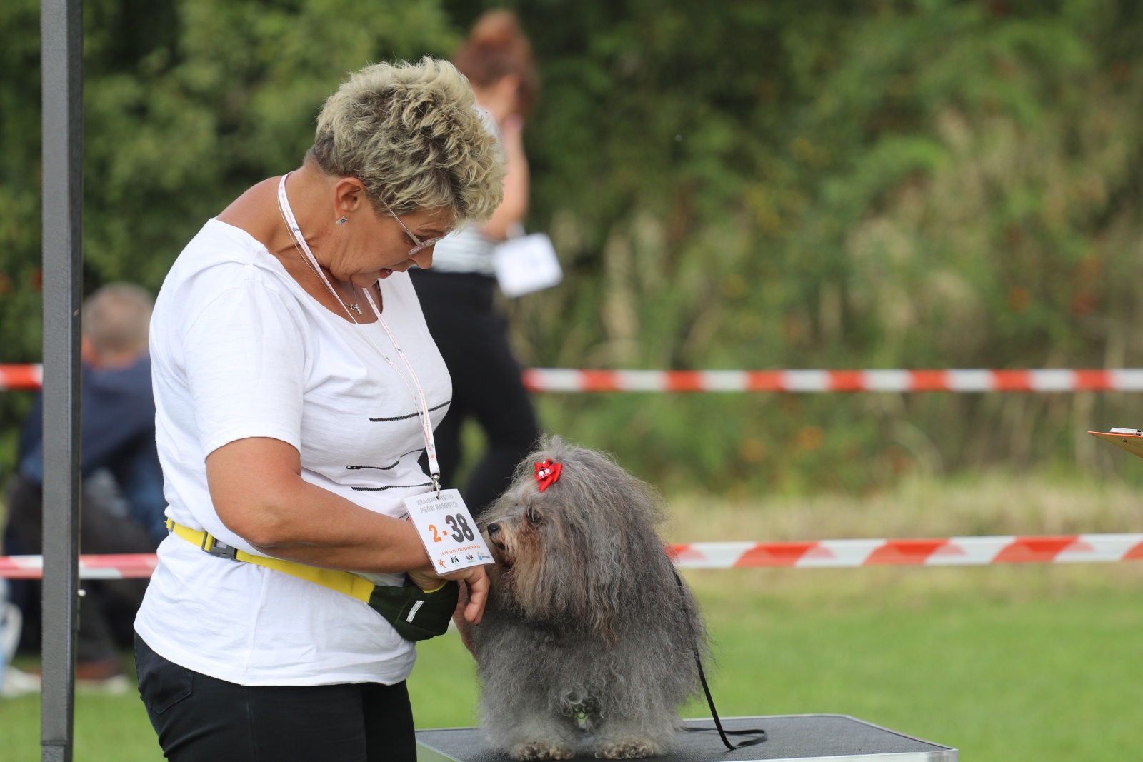 Krajowa wystawa psów rasowych w Szczedrzykowicach