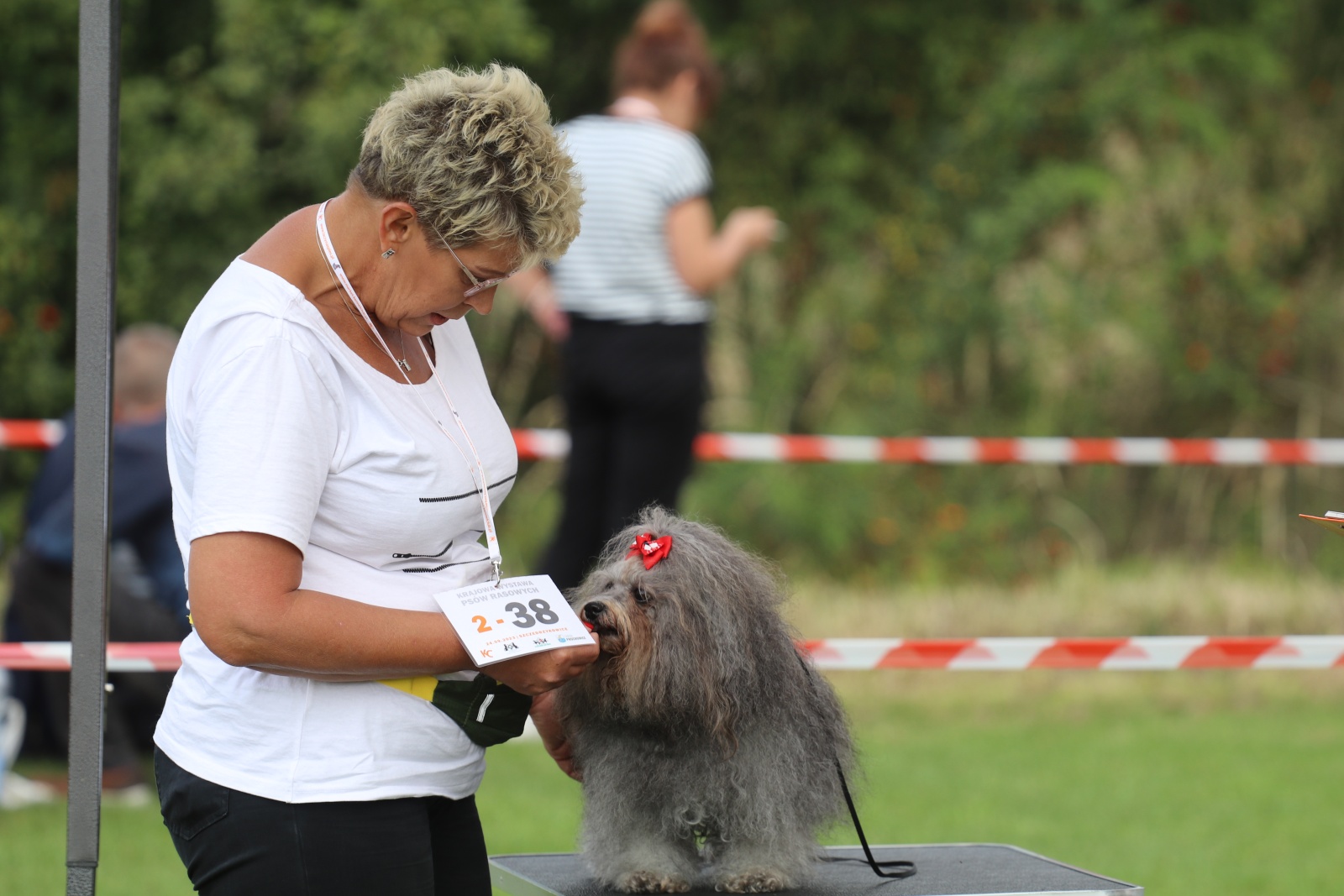 Krajowa wystawa psów rasowych w Szczedrzykowicach