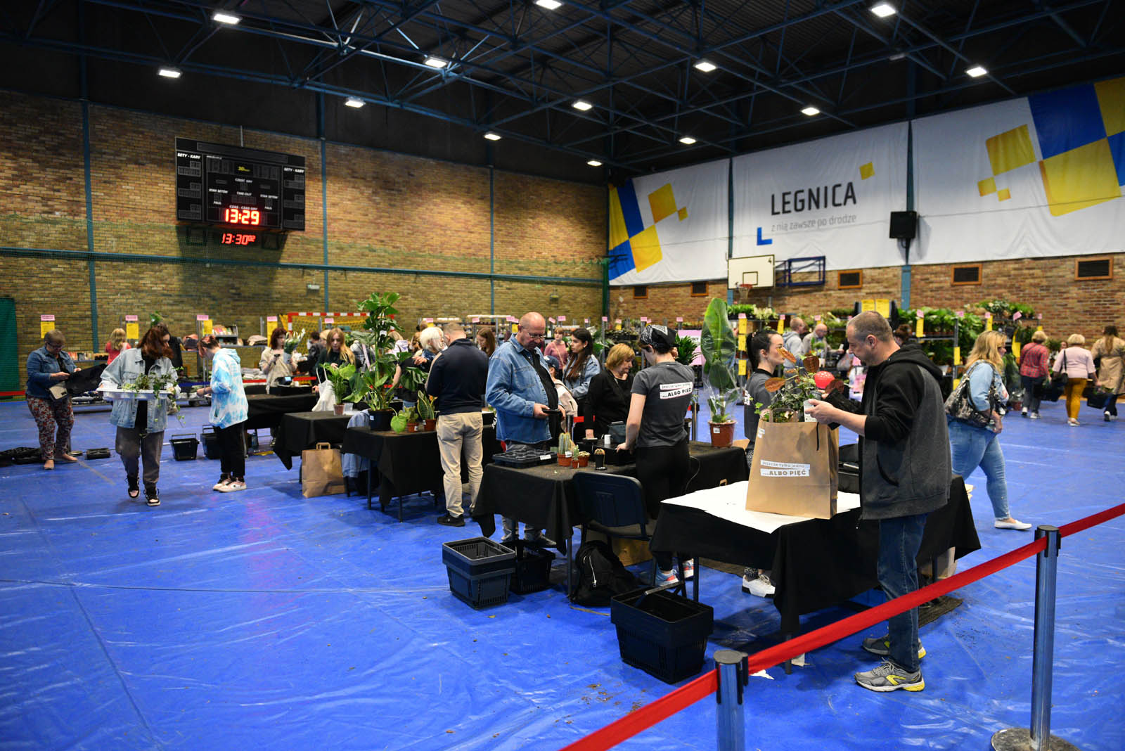 Festiwal roślin, czyli raj dla miłośników kwoatów doniczkowych