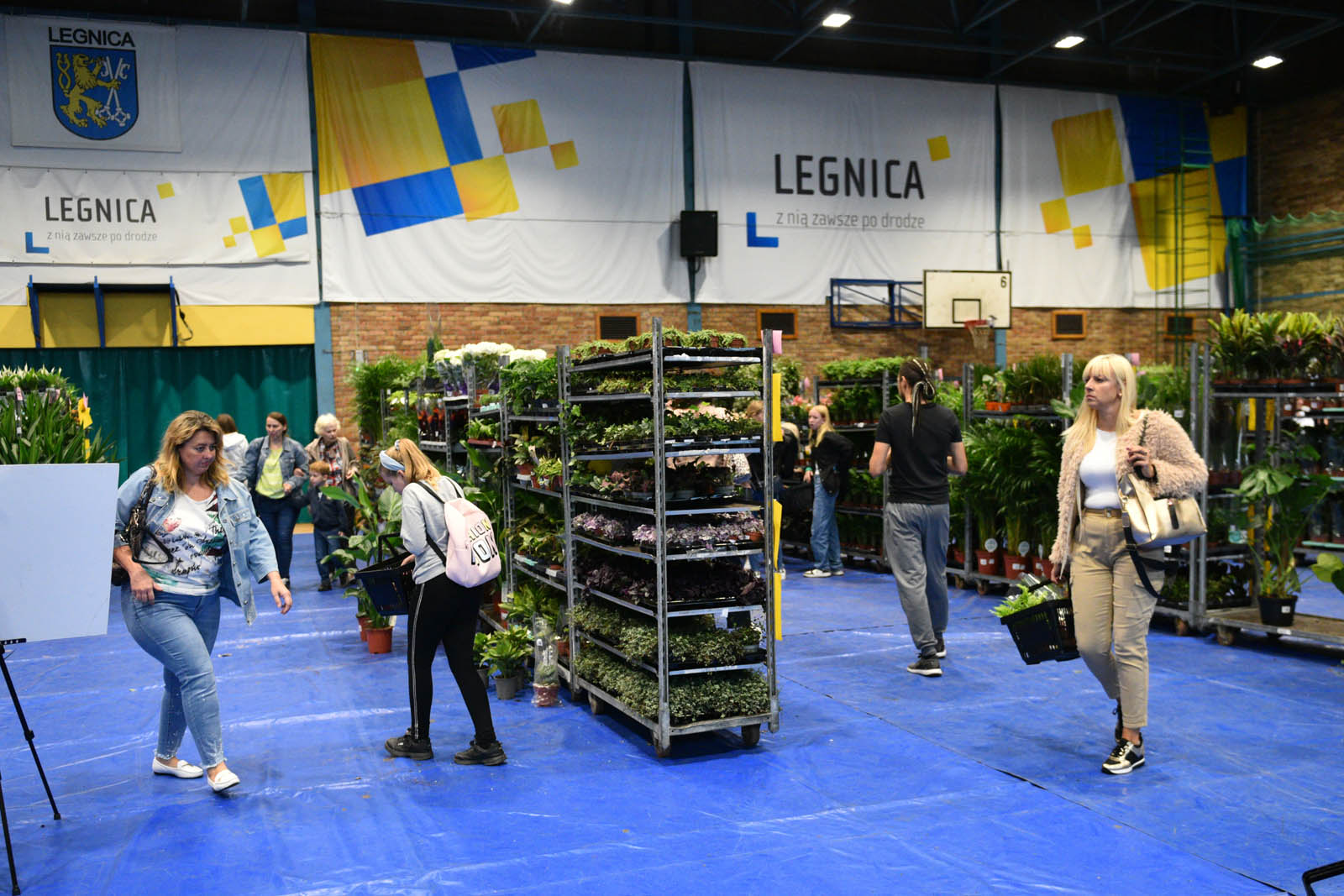 Festiwal roślin, czyli raj dla miłośników kwoatów doniczkowych