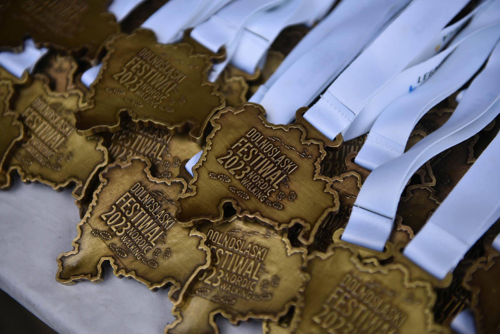 Ponad 200 chętnych na Dolnośląskim Festiwalu Nordic Walking