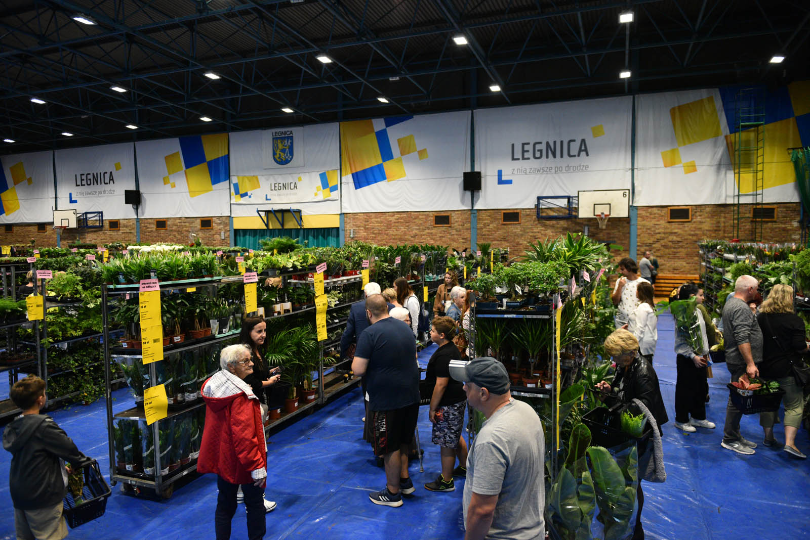 Festiwal roślin, czyli raj dla miłośników kwoatów doniczkowych