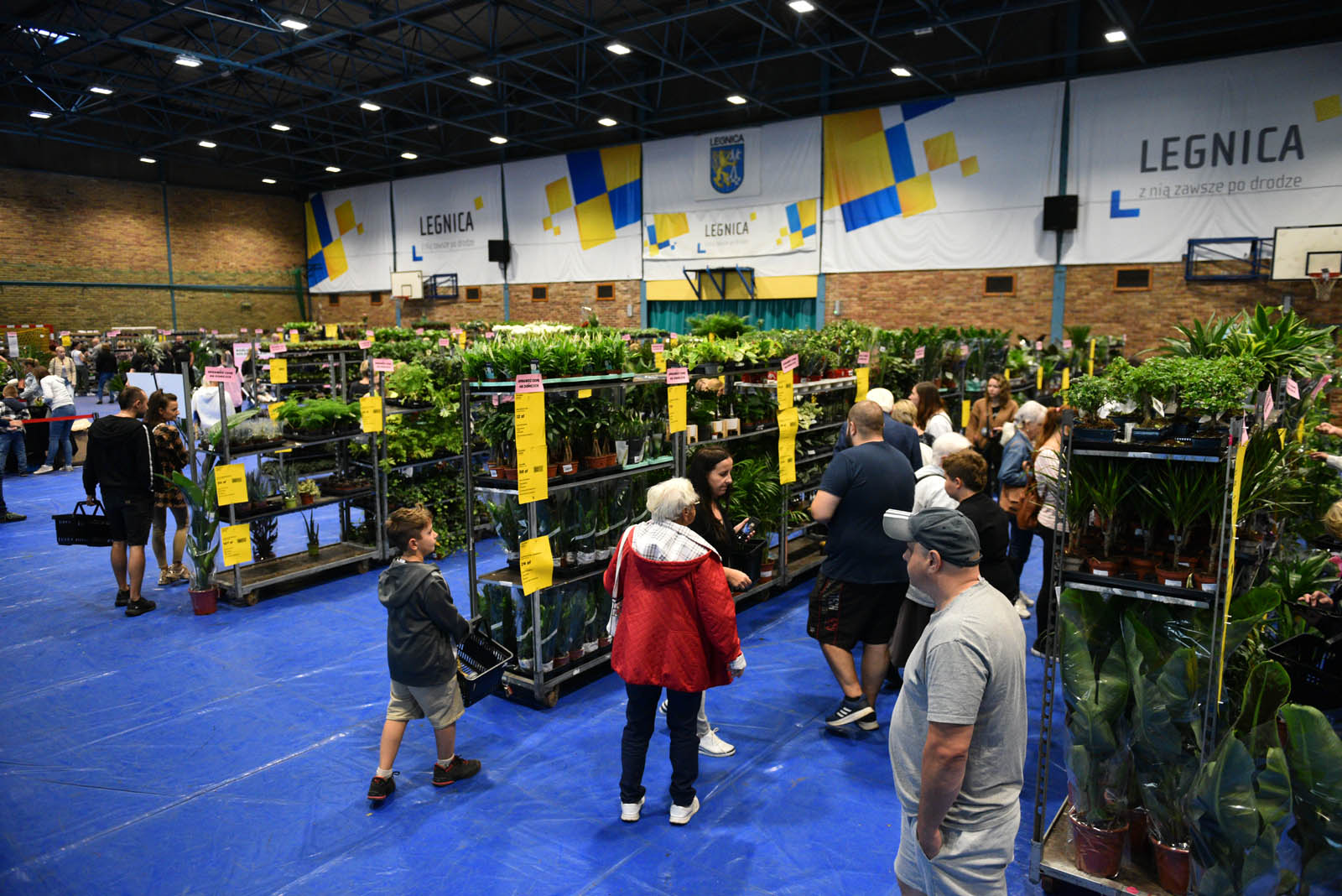 Festiwal roślin, czyli raj dla miłośników kwoatów doniczkowych