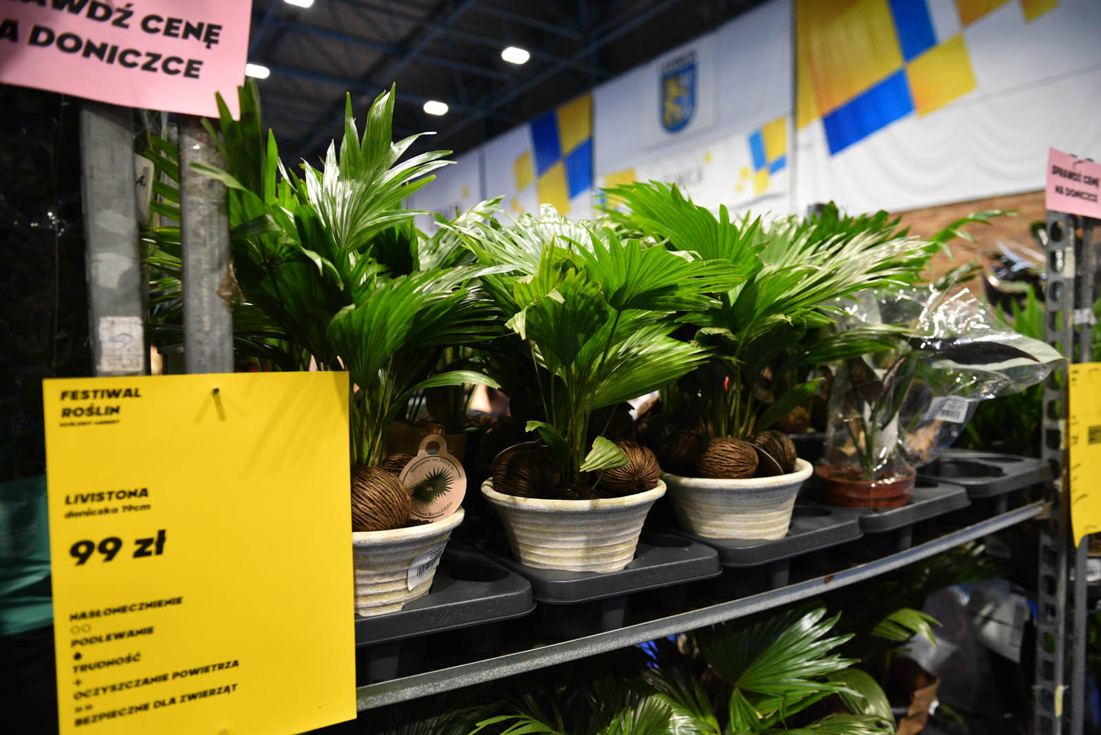 Festiwal roślin, czyli raj dla miłośników kwoatów doniczkowych