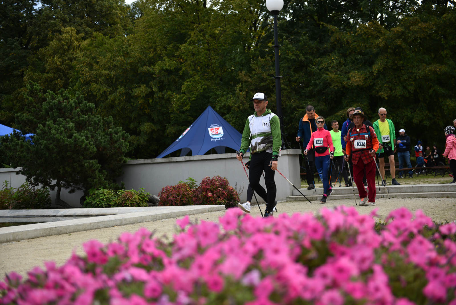 Ponad 200 chętnych na Dolnośląskim Festiwalu Nordic Walking