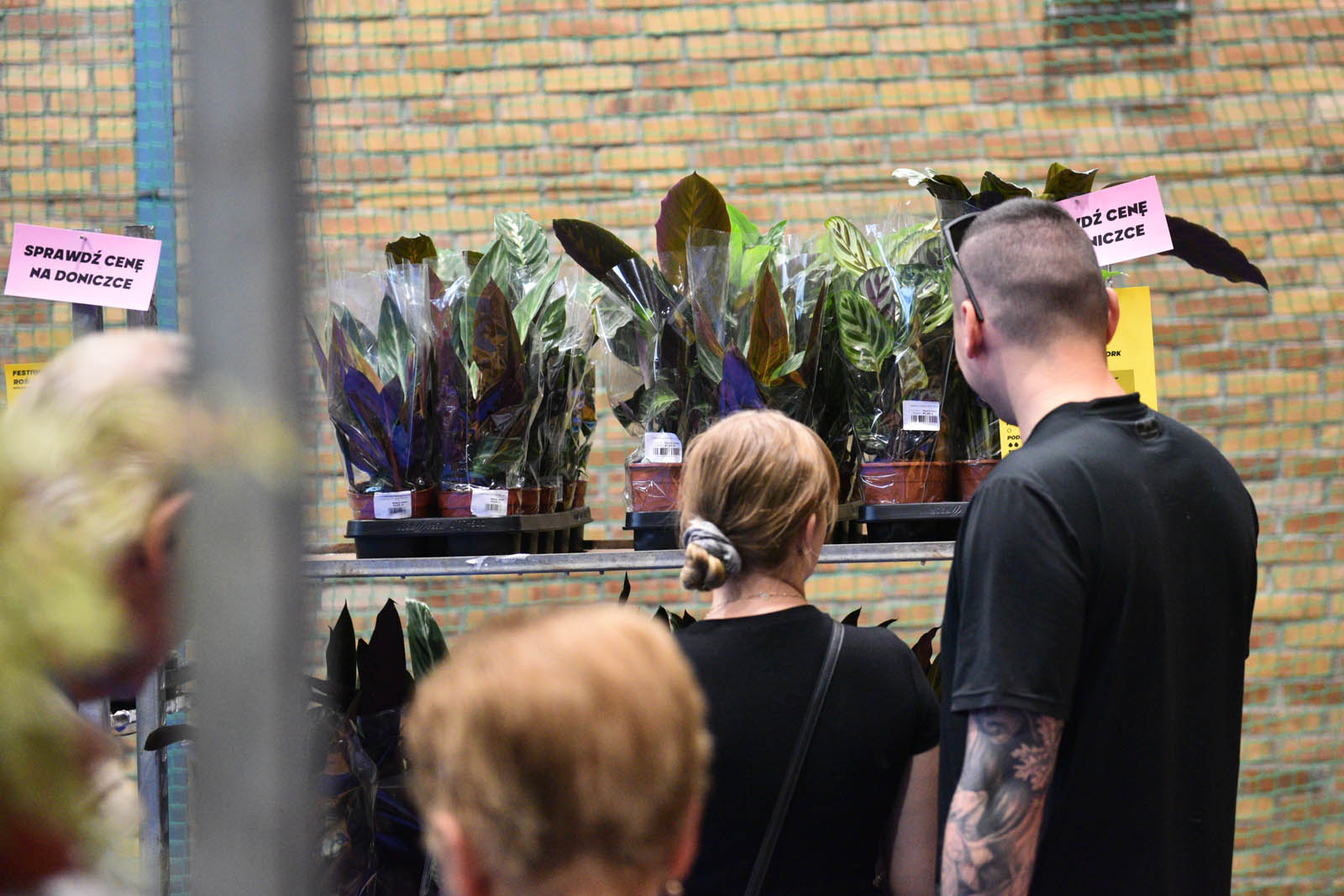 Festiwal roślin, czyli raj dla miłośników kwoatów doniczkowych