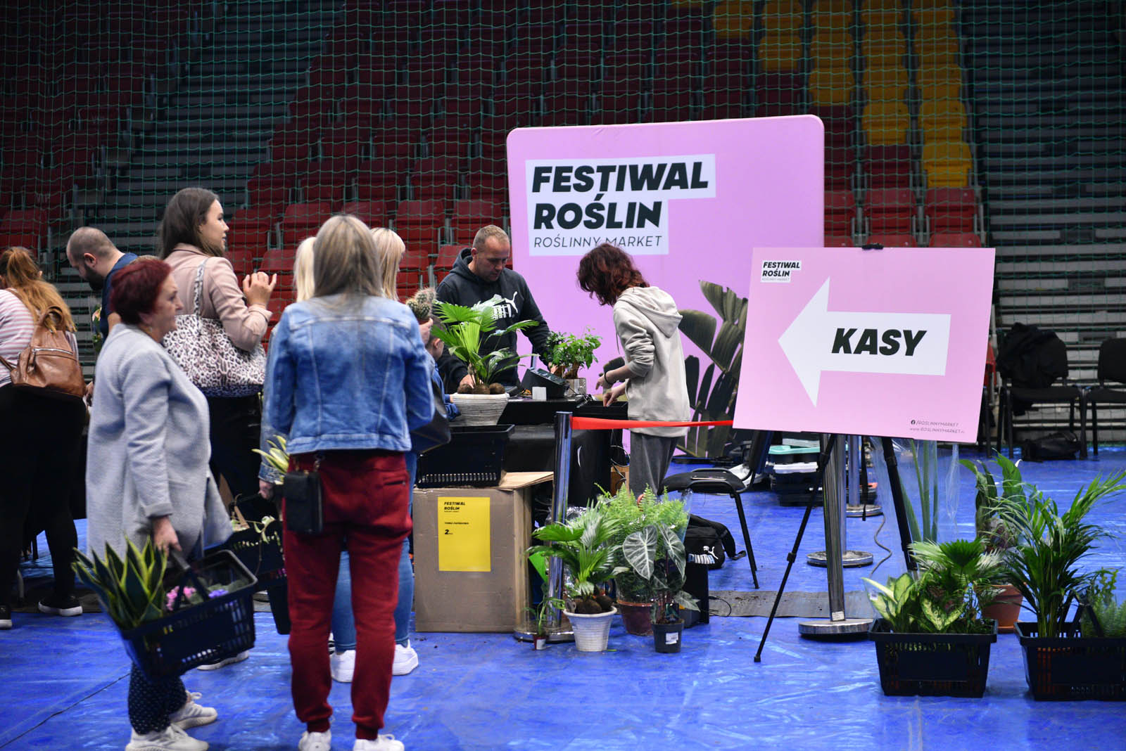 Festiwal roślin, czyli raj dla miłośników kwoatów doniczkowych