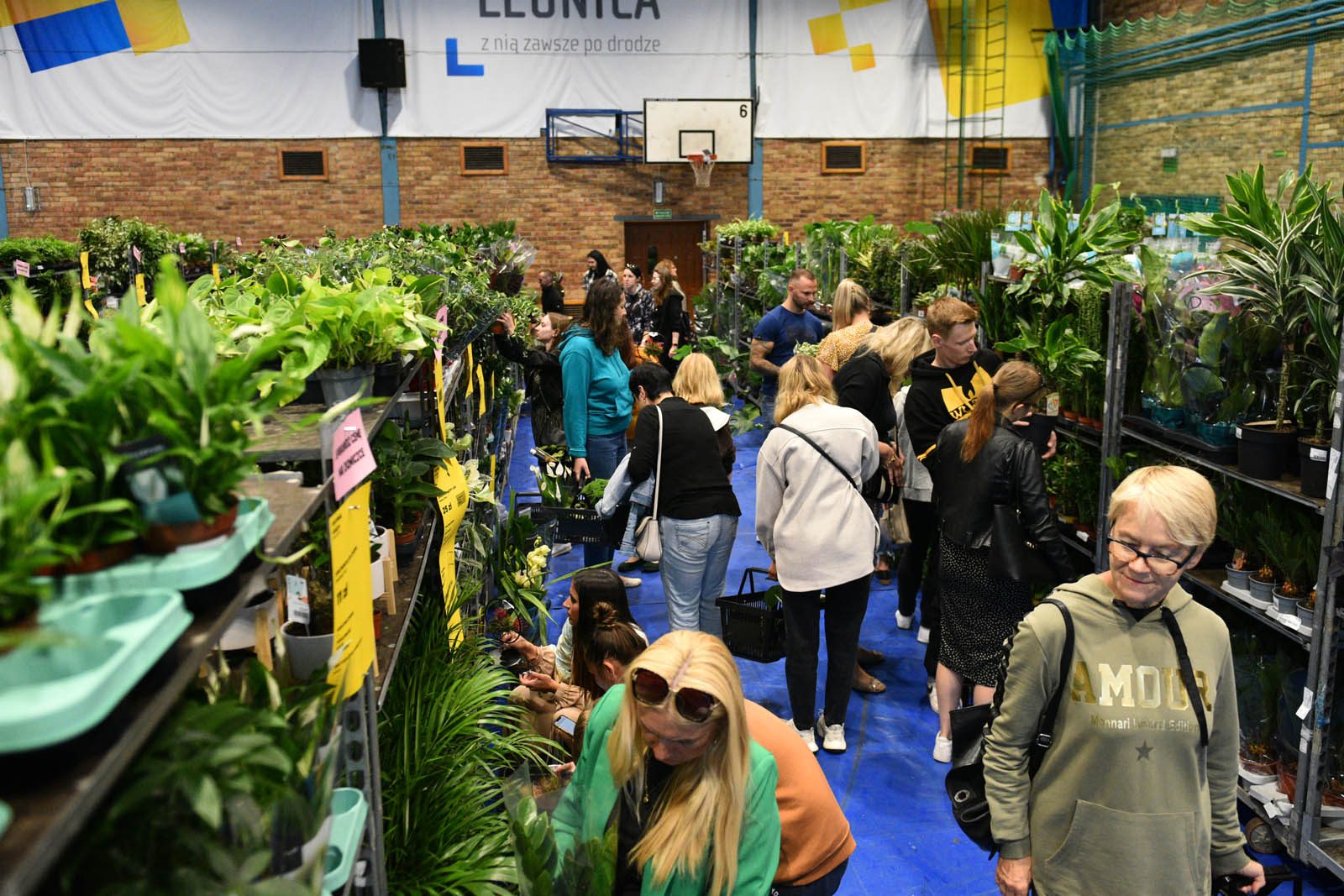 Festiwal roślin, czyli raj dla miłośników kwoatów doniczkowych