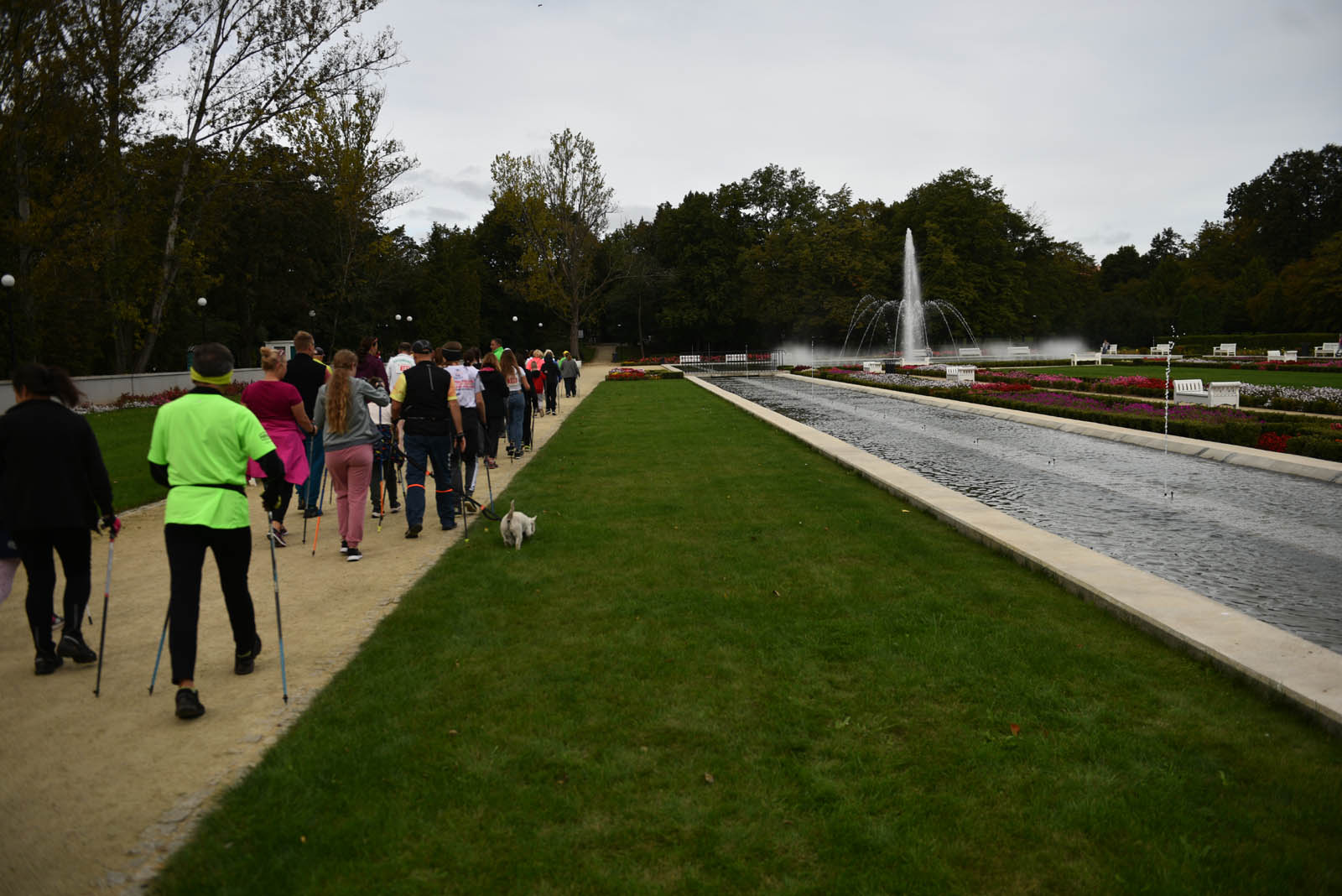 Ponad 200 chętnych na Dolnośląskim Festiwalu Nordic Walking
