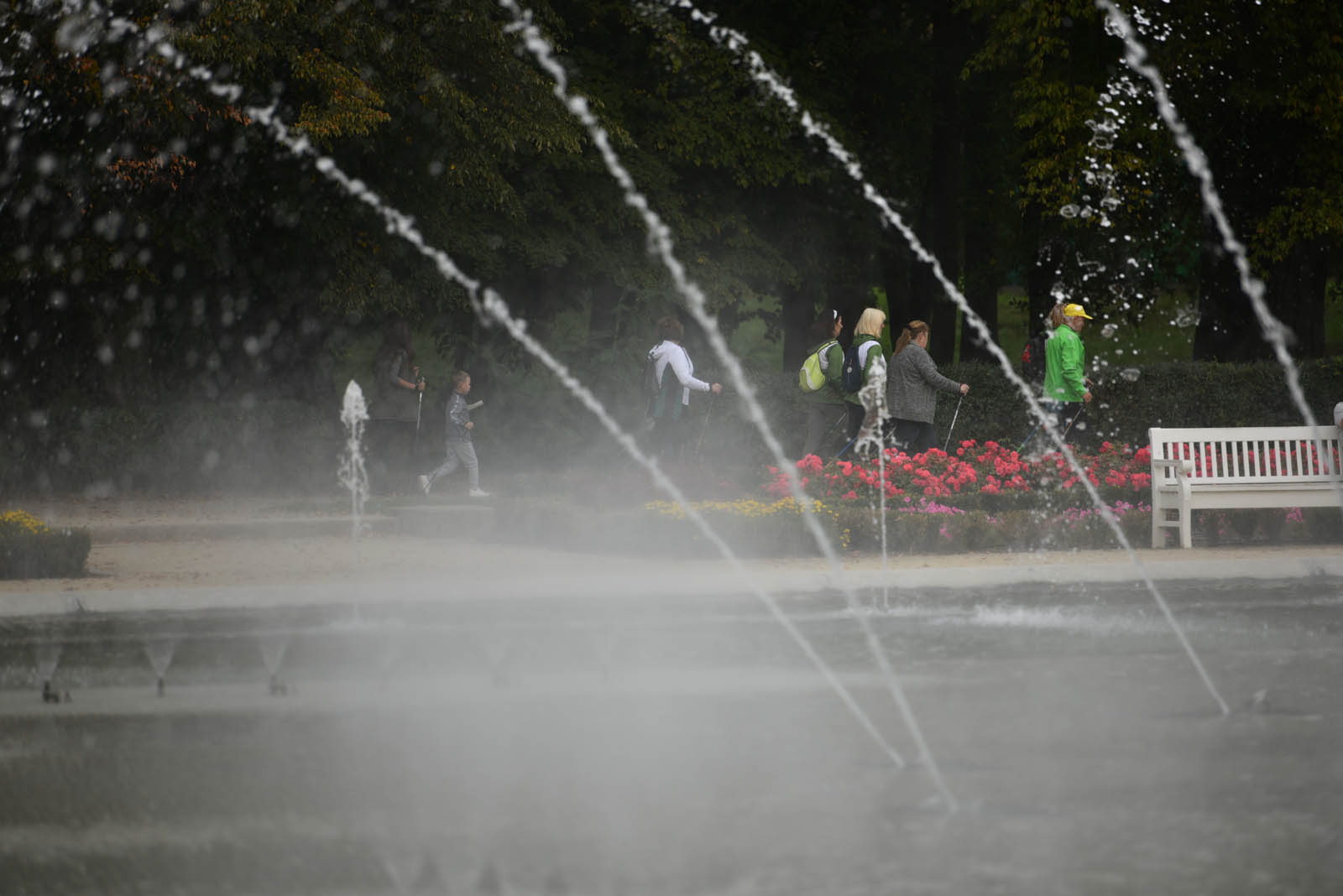 Ponad 200 chętnych na Dolnośląskim Festiwalu Nordic Walking