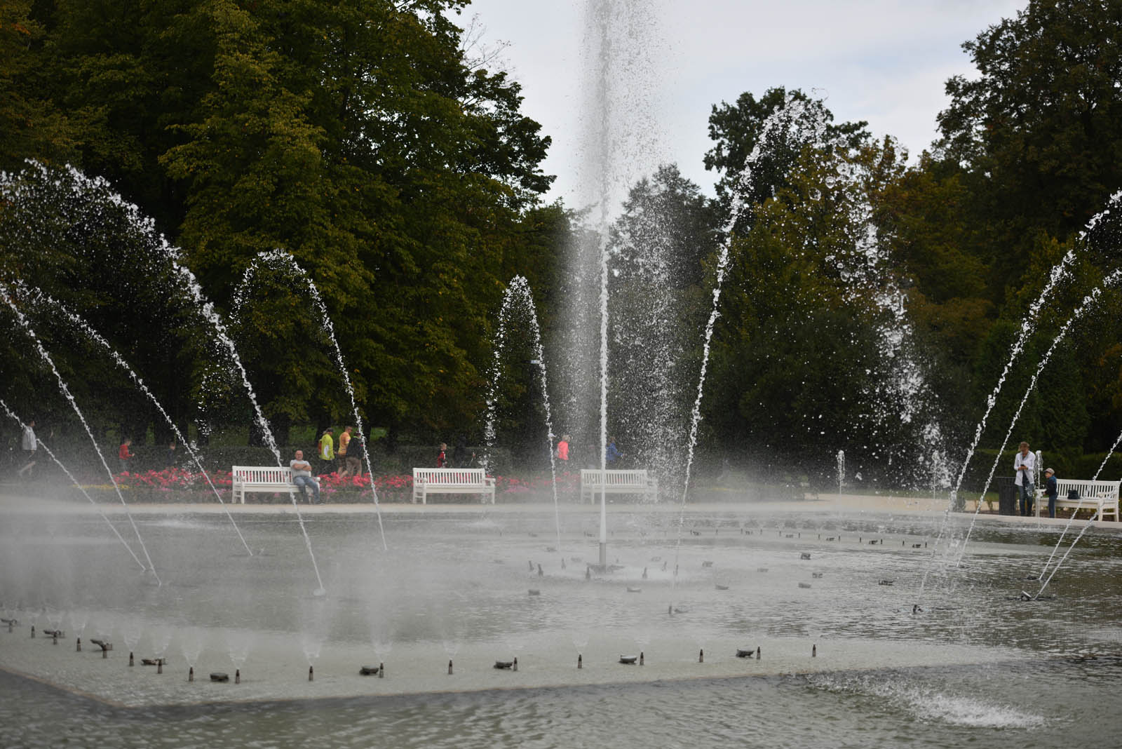 Ponad 200 chętnych na Dolnośląskim Festiwalu Nordic Walking