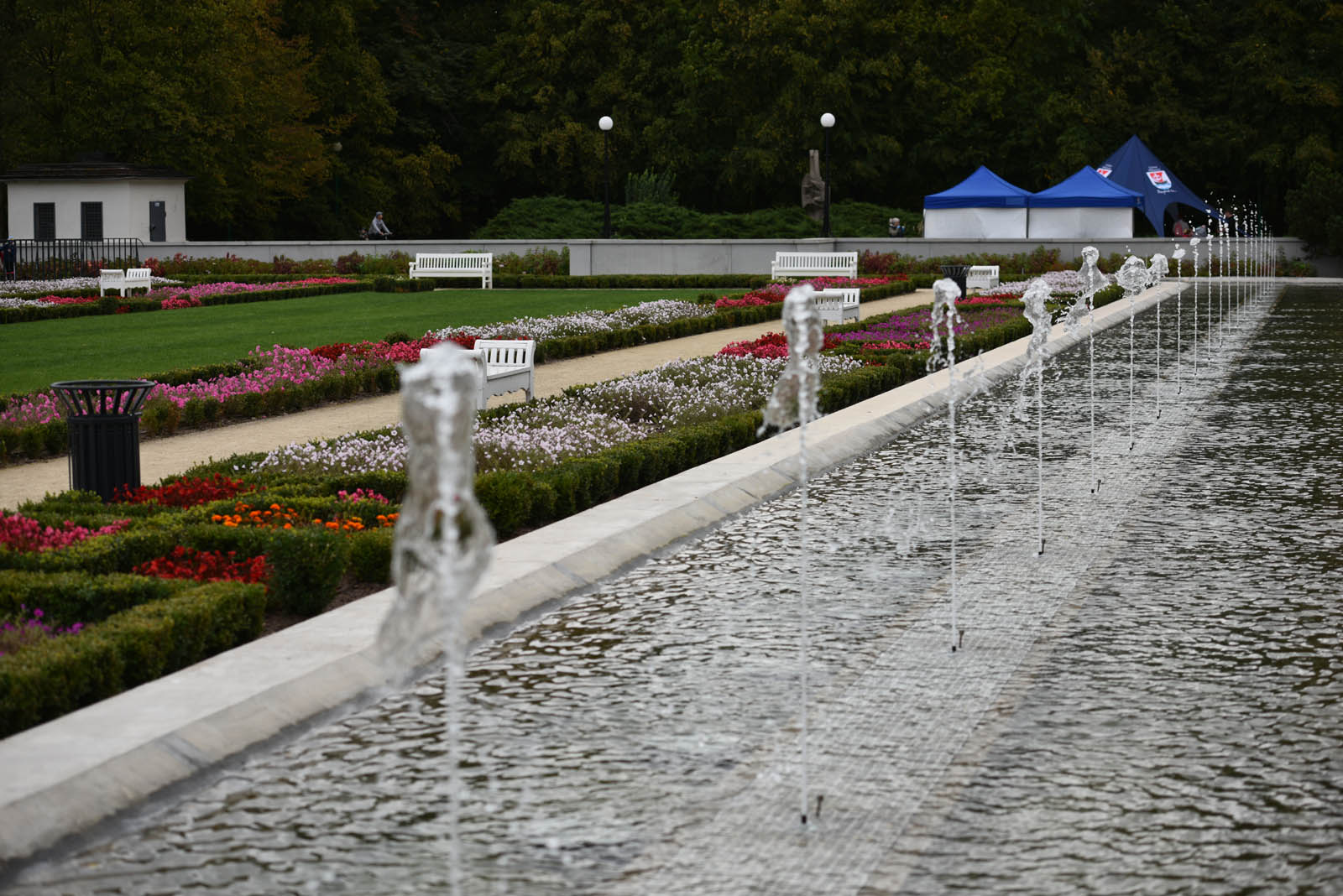 Ponad 200 chętnych na Dolnośląskim Festiwalu Nordic Walking