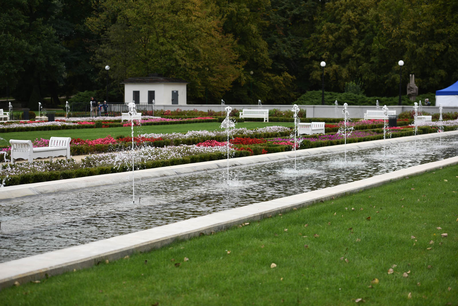 Ponad 200 chętnych na Dolnośląskim Festiwalu Nordic Walking