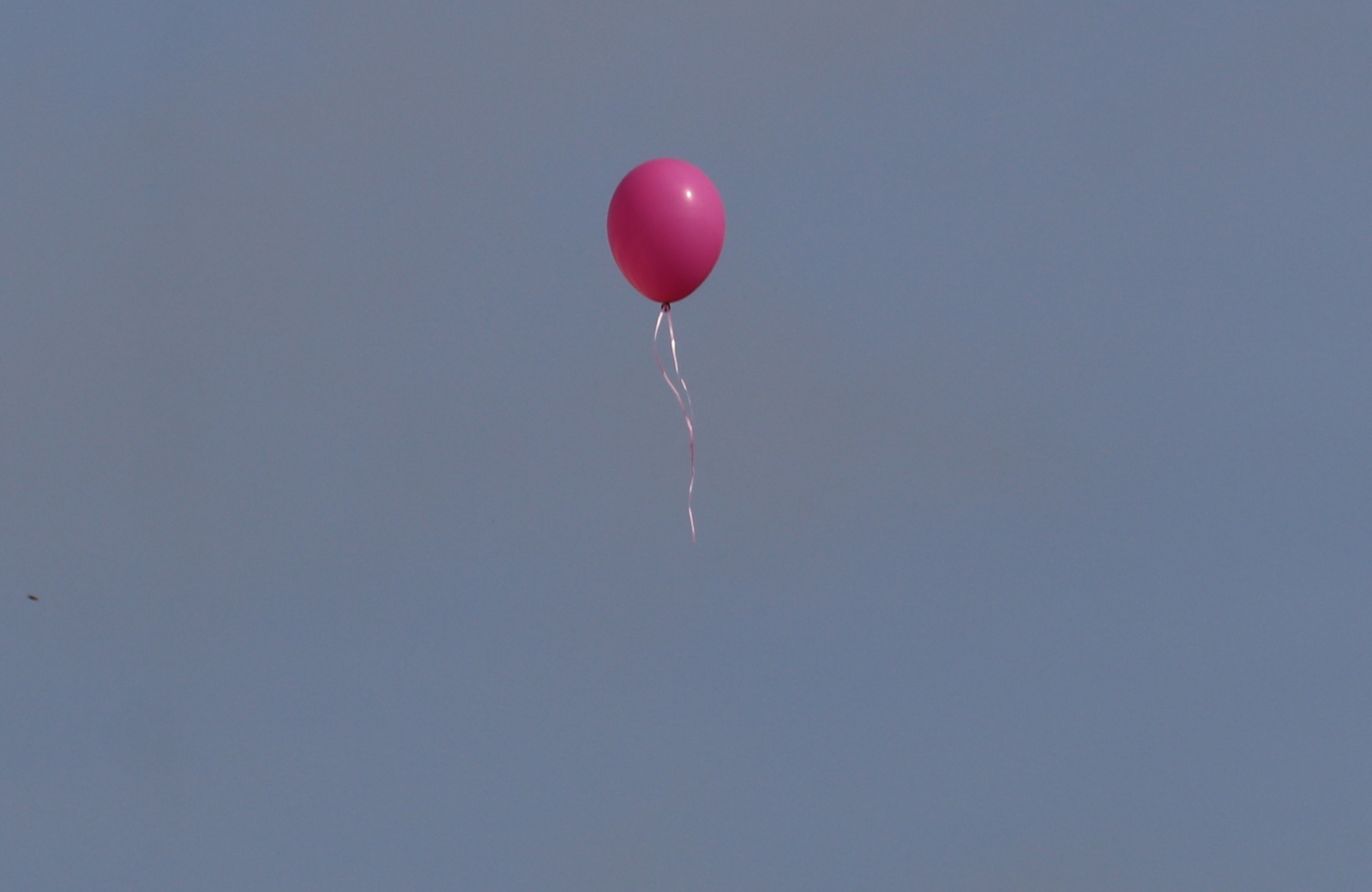 Z różowymi balonami i orkiestrą policyjną maszerowali ku zdrowiu