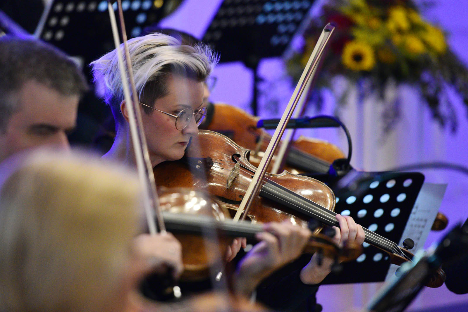 Muzyczna podróż po twórczości Benjamina Bilsego