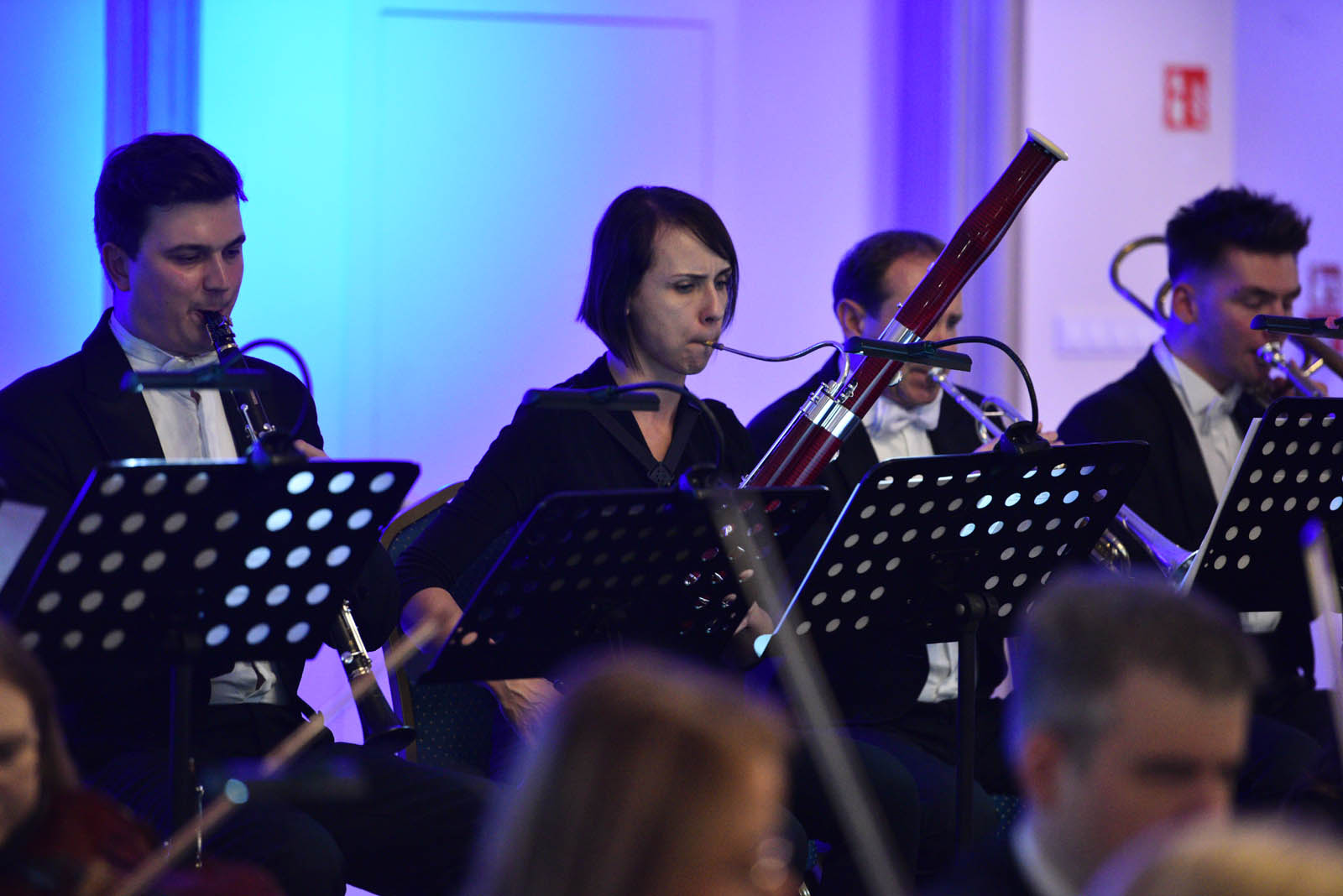 Muzyczna podróż po twórczości Benjamina Bilsego