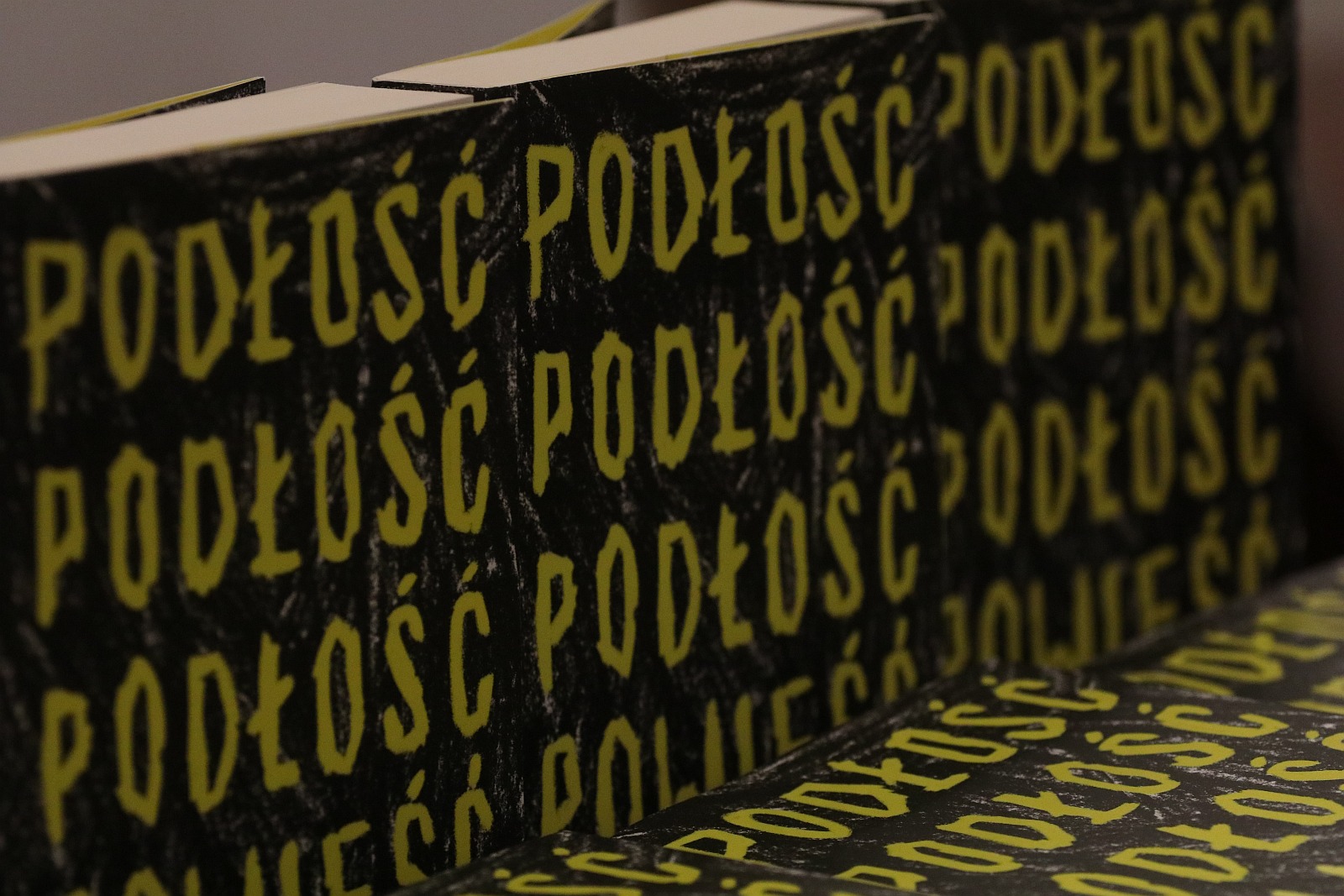 Spotkanie z Olgą Mildyn w Legnickiej Bibliotece Publicznej