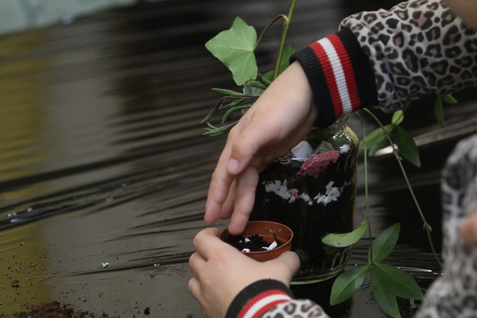 Warsztaty florystyczne Koła Dużych Rodzin 3 Plus Koło Legnica
