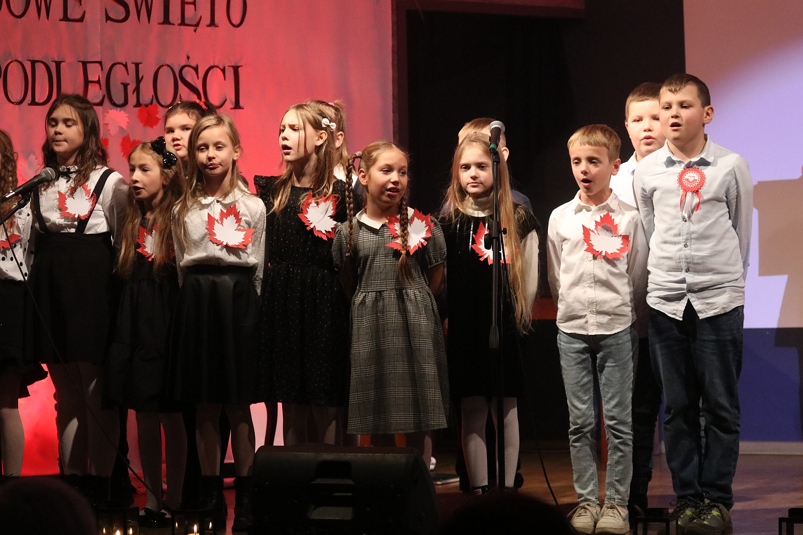 Prochowice świętowały rocznicę odzyskania niepodległości