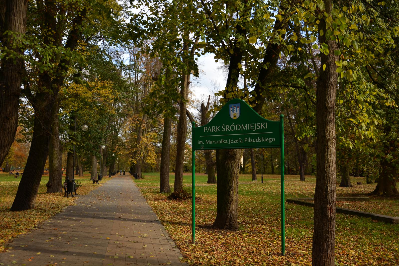 Zobacz, jak wygląda Chojnów w palecie kolorów jesieni