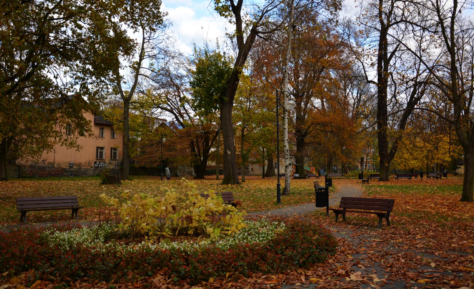 Zobacz, jak wygląda Chojnów w palecie kolorów jesieni