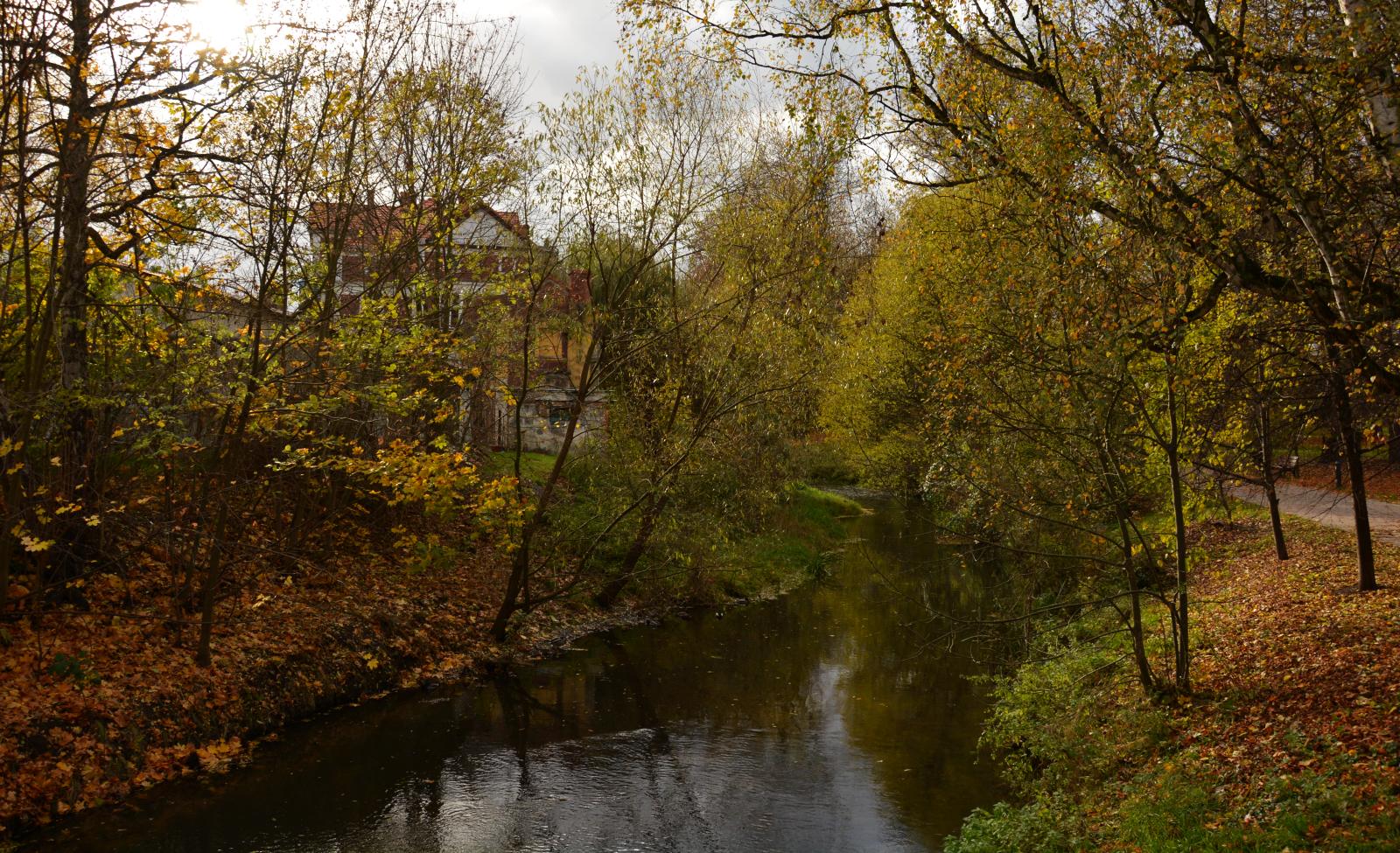 Zobacz, jak wygląda Chojnów w palecie kolorów jesieni