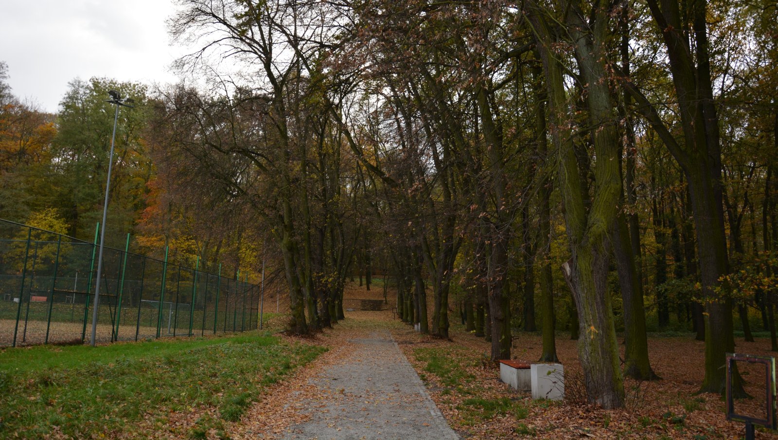 Zobacz, jak wygląda Chojnów w palecie kolorów jesieni
