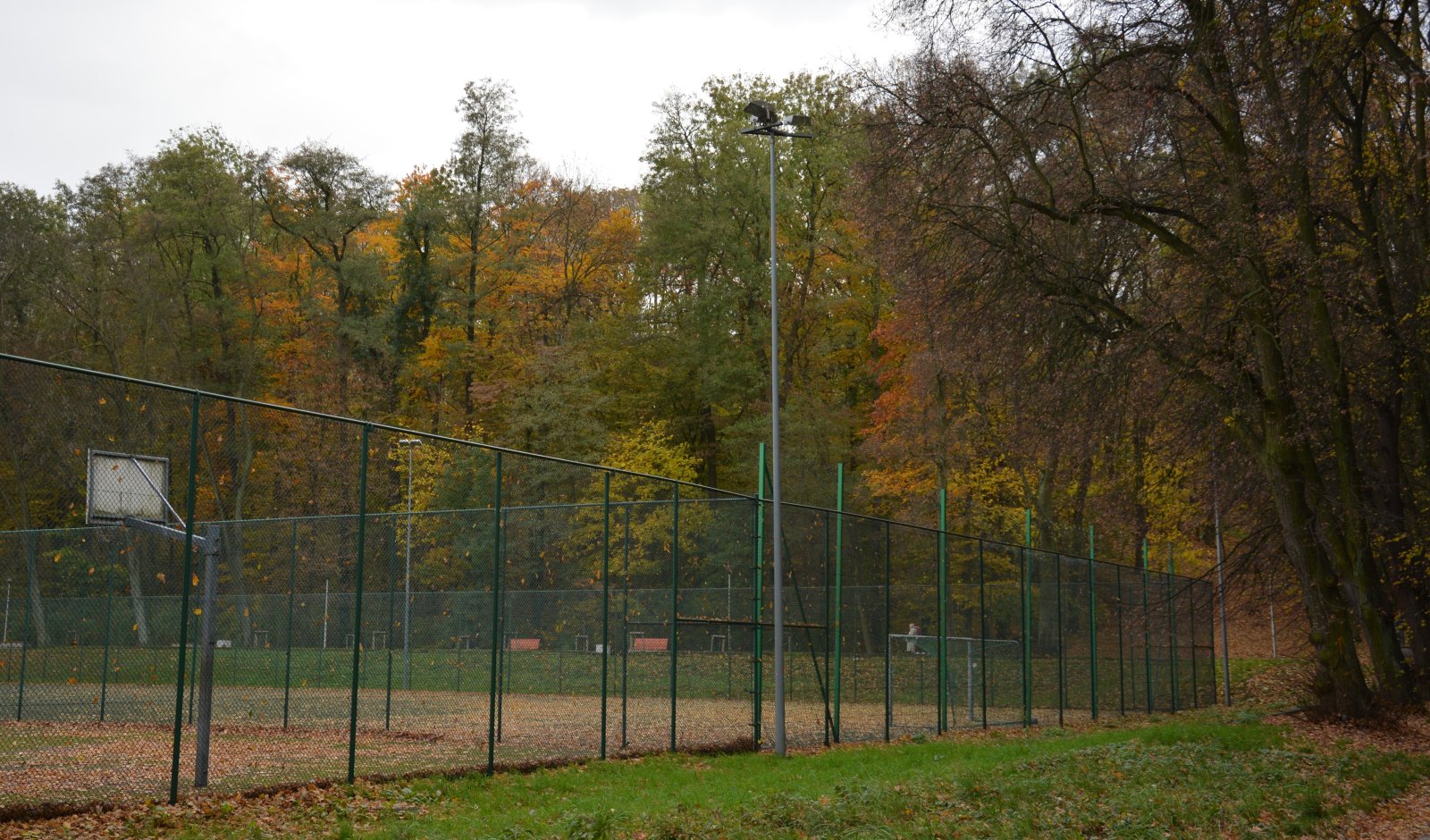 Zobacz, jak wygląda Chojnów w palecie kolorów jesieni