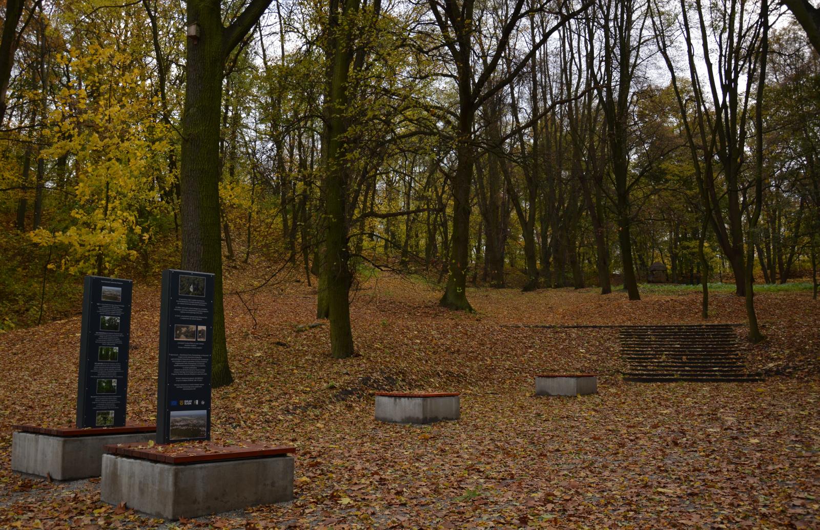 Zobacz, jak wygląda Chojnów w palecie kolorów jesieni