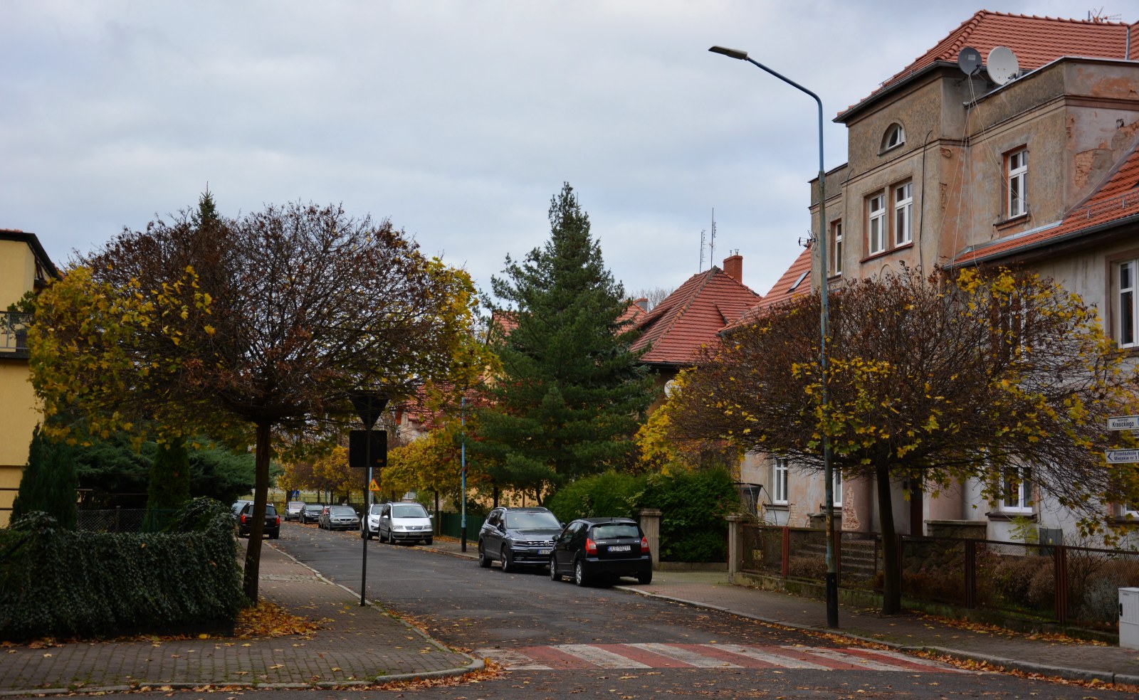 Zobacz, jak wygląda Chojnów w palecie kolorów jesieni
