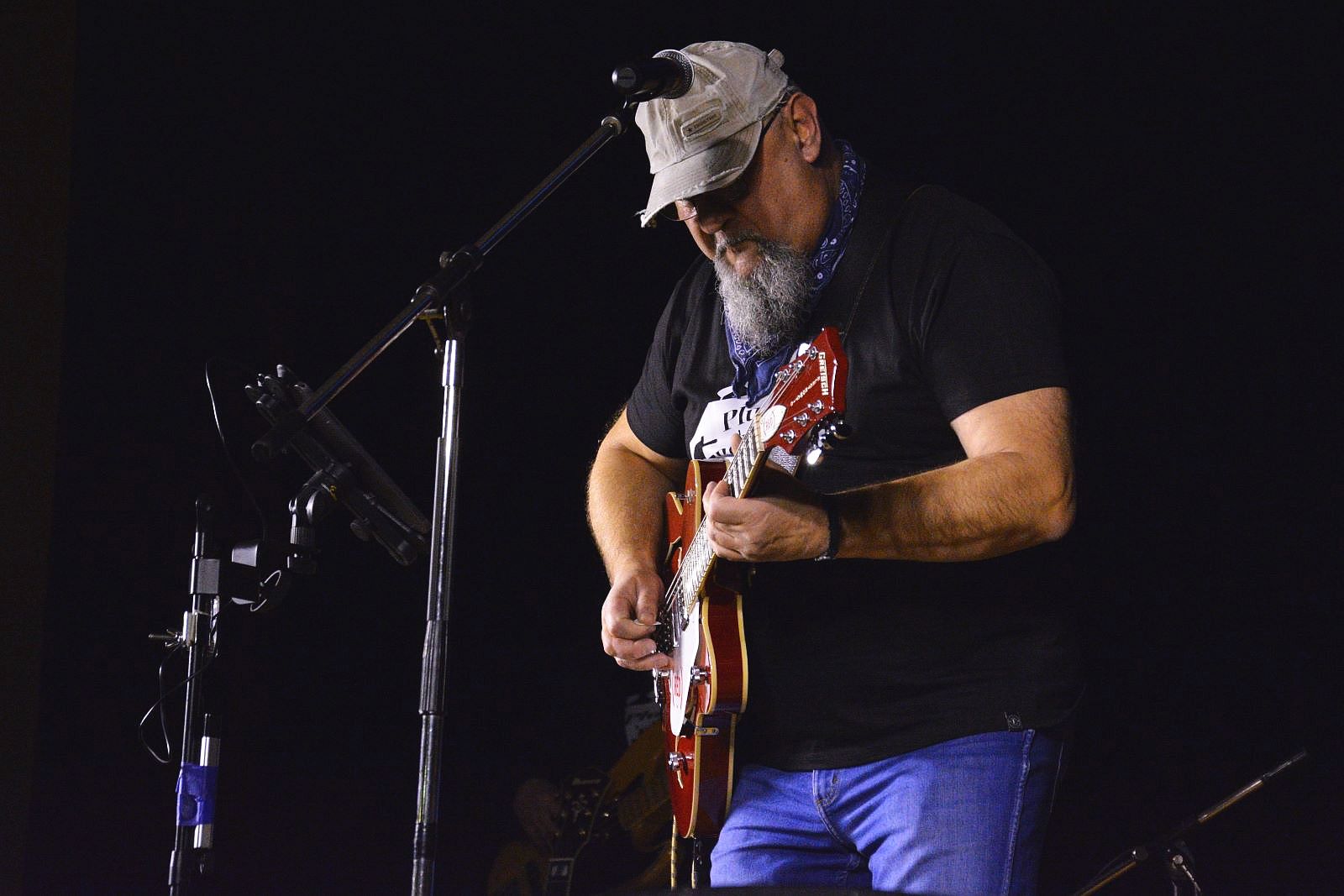 Koncert zespołu  Plug'n'Blues w chojnowskim domu kultury
