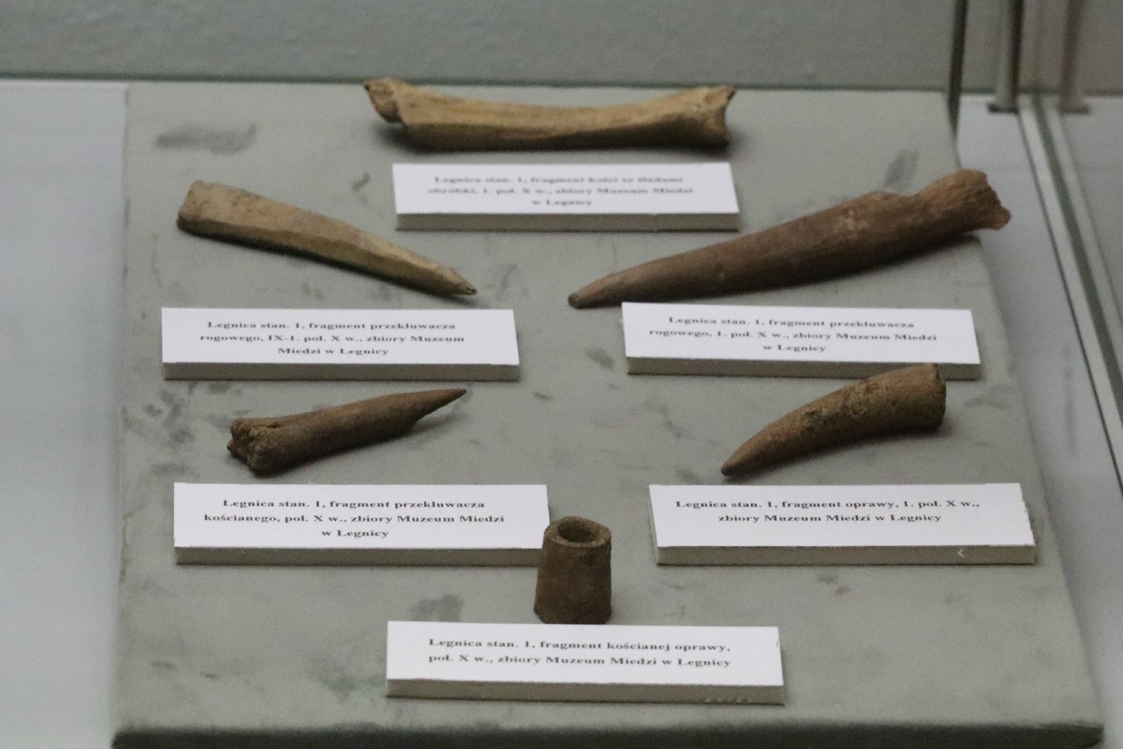 Nowa wystawa w Muzeum Miedzi. Koniecznie trzeba ją zobaczyć