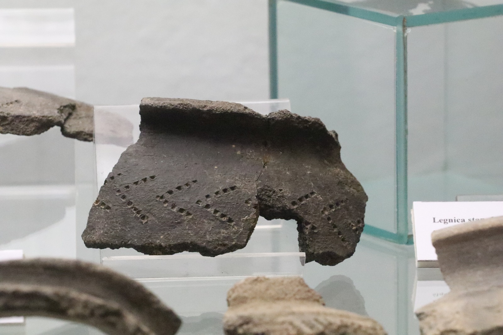 Nowa wystawa w Muzeum Miedzi. Koniecznie trzeba ją zobaczyć