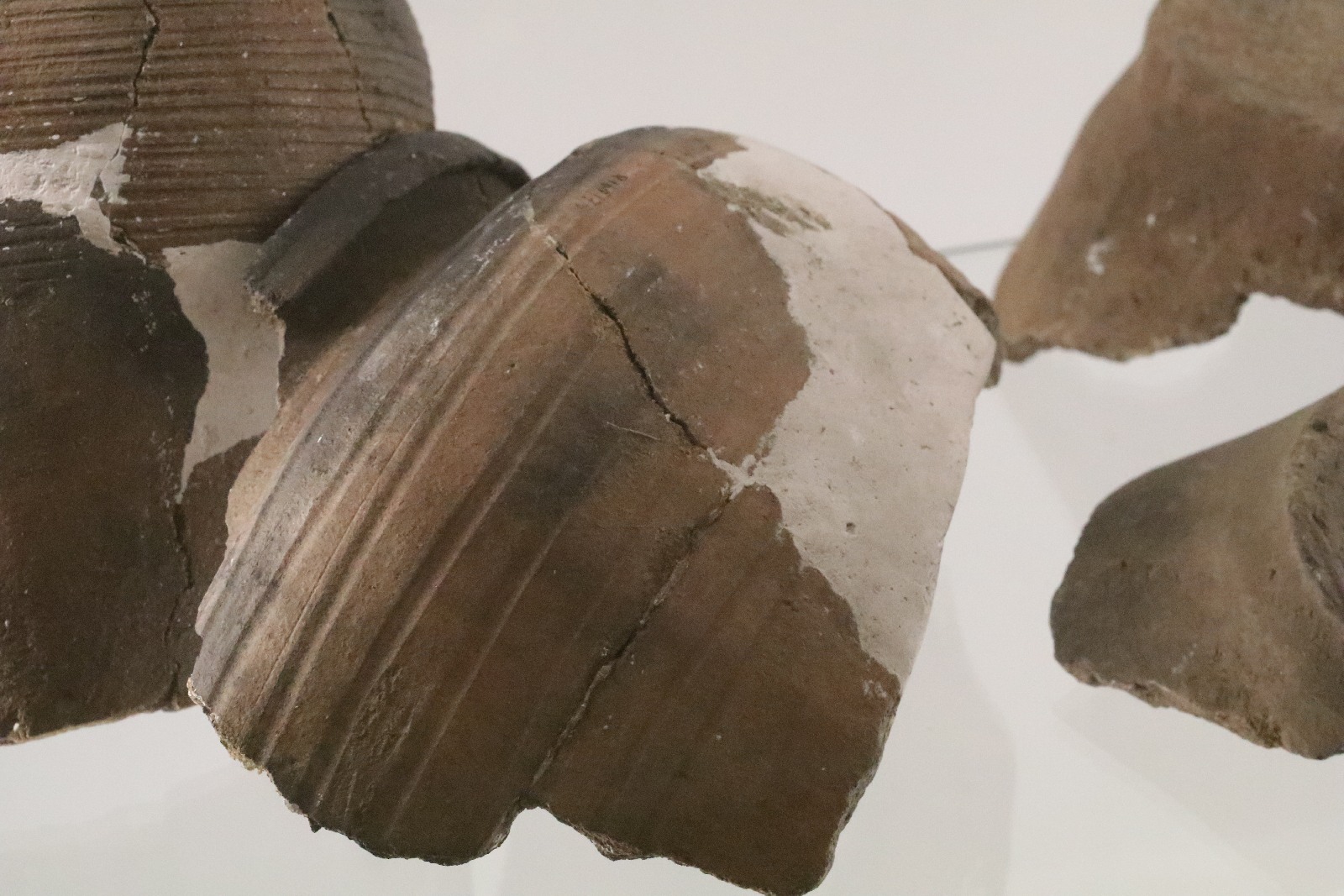 Nowa wystawa w Muzeum Miedzi. Koniecznie trzeba ją zobaczyć