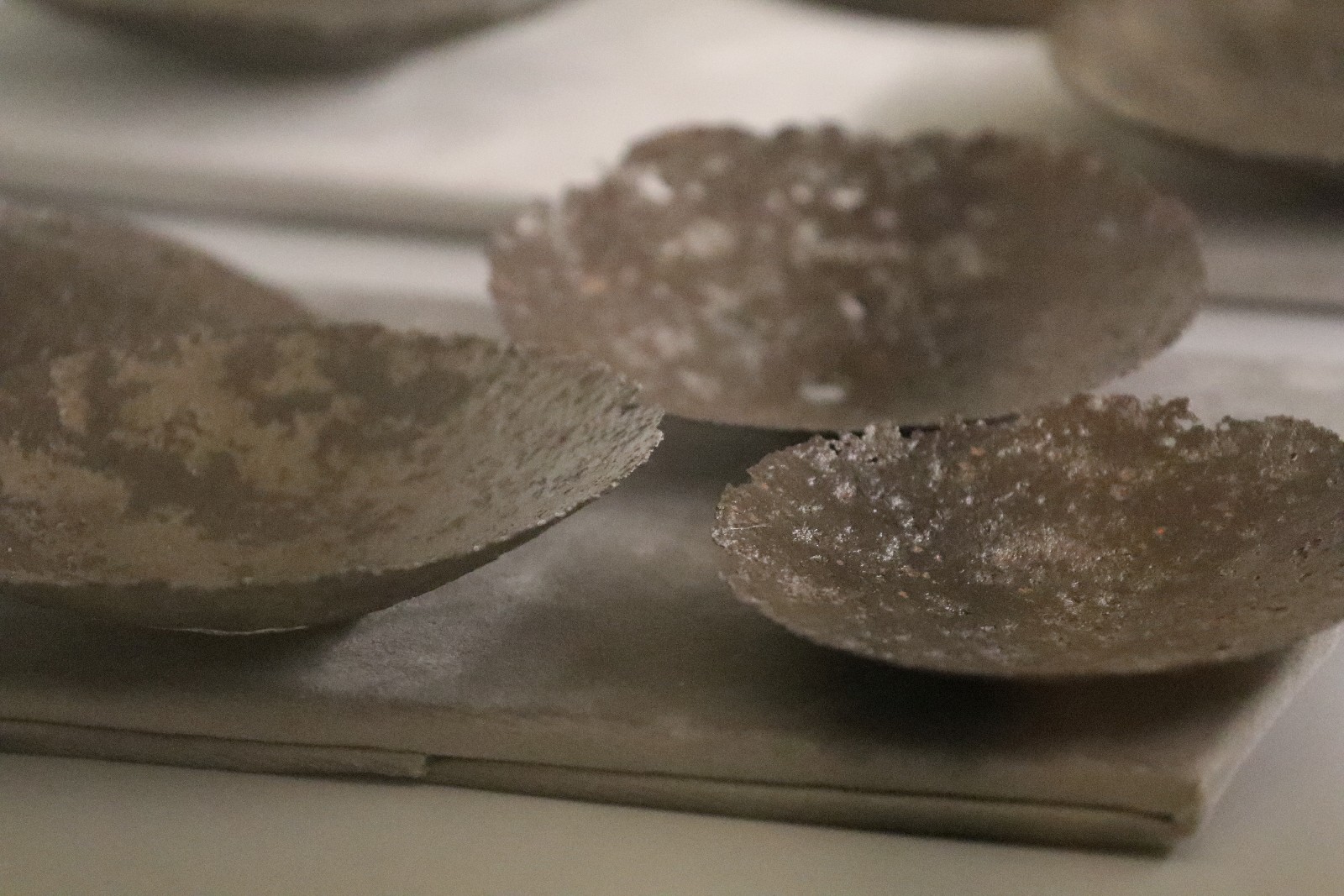 Nowa wystawa w Muzeum Miedzi. Koniecznie trzeba ją zobaczyć