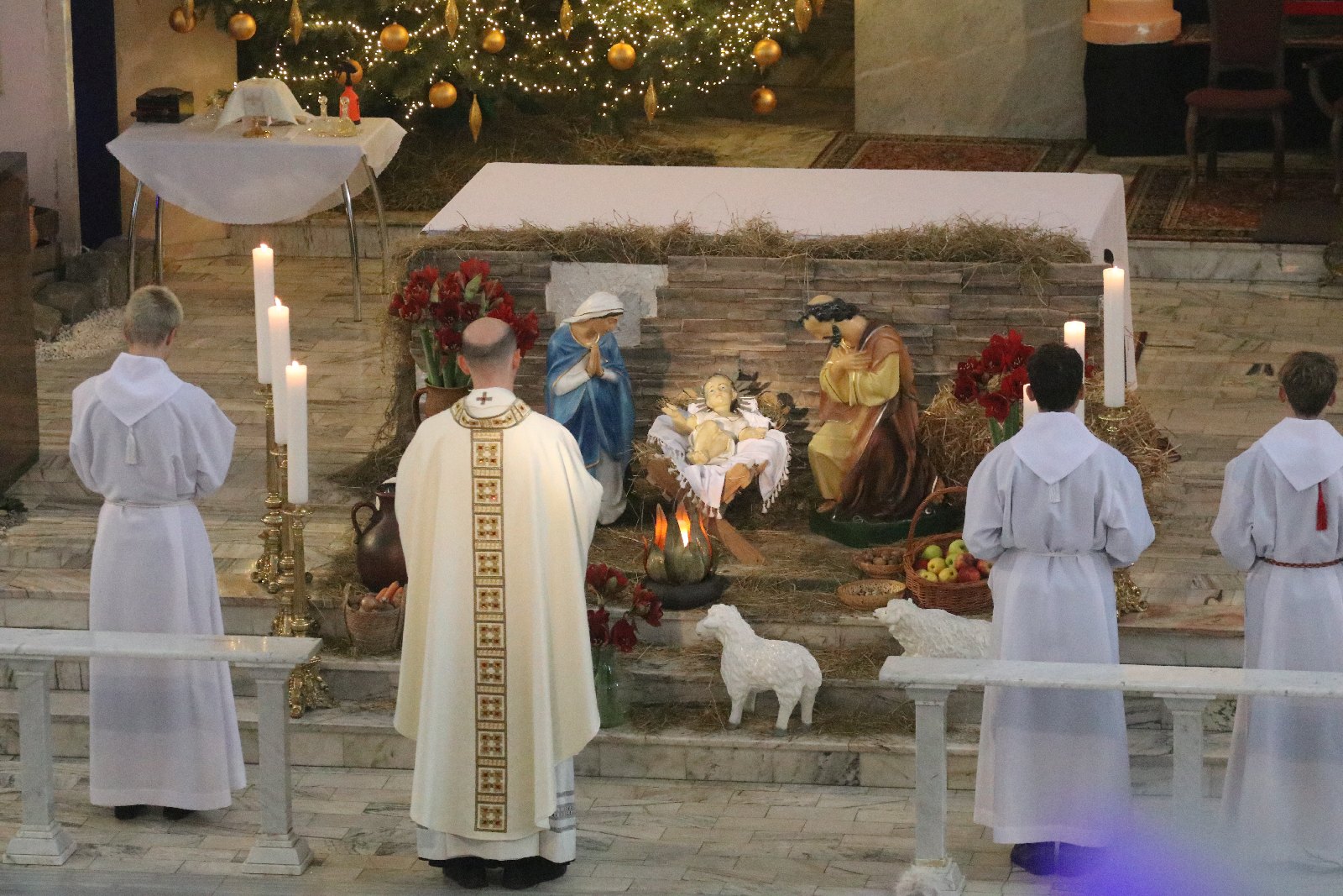 Szopka bożonarodzeniowa w kościele Matki Bożej Królowej Polski