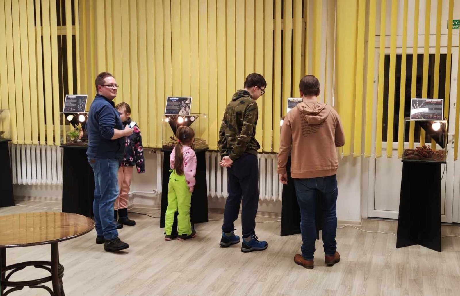 Na wystawie zobaczyć można około 40 pająków oraz dwa skorpiony