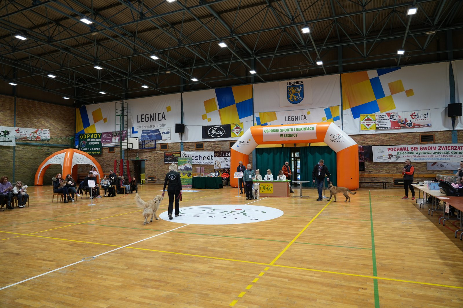 Wystawa zwierząt domowych „Pochwal się swoim zwierzątkiem”