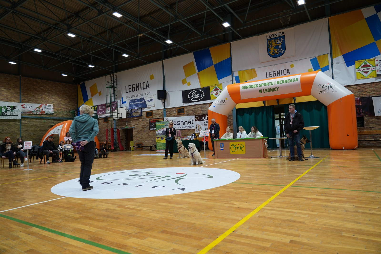 Wystawa zwierząt domowych „Pochwal się swoim zwierzątkiem”