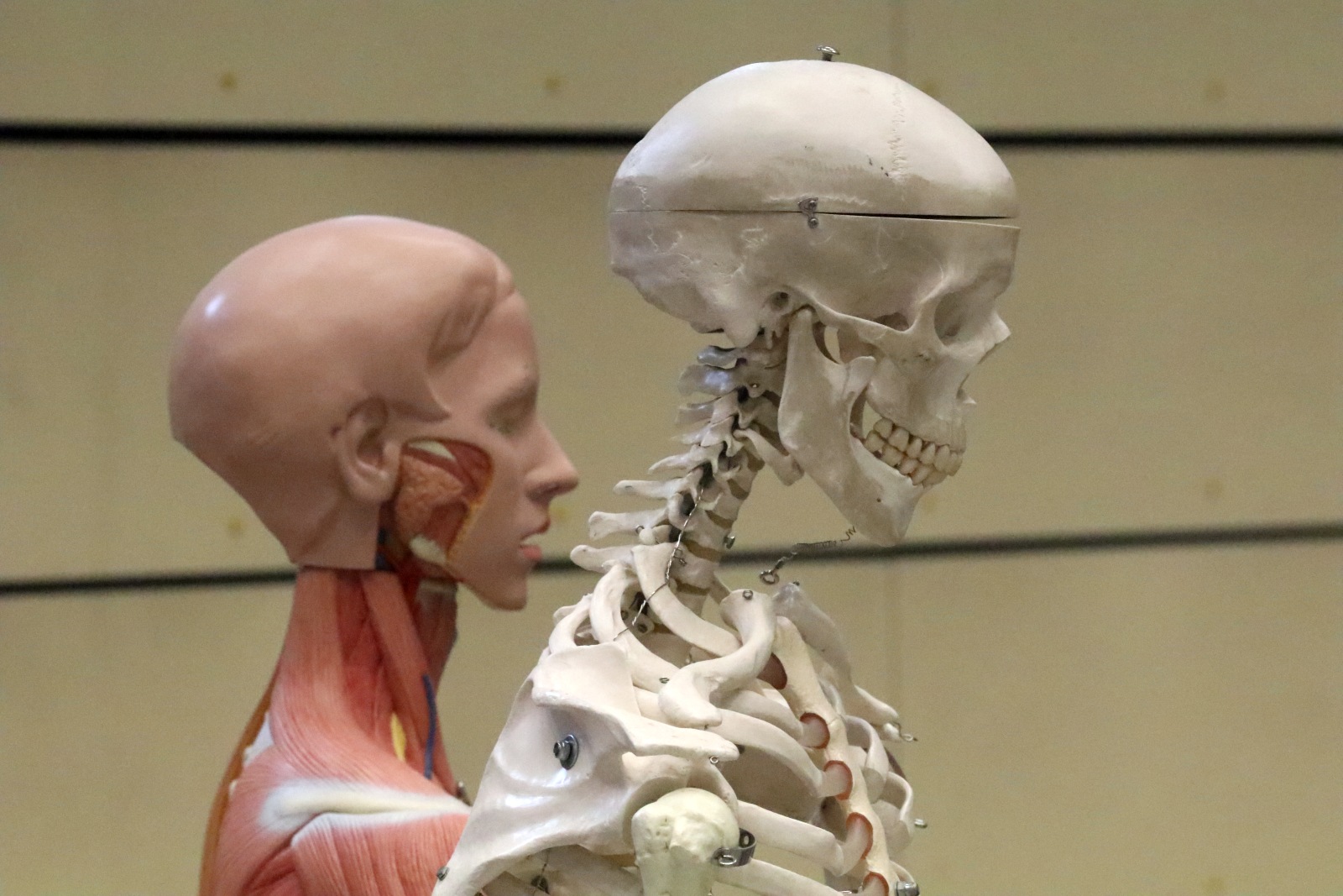 Dzień Otwartych Drzwi w Collegium Witelona Uczelni Państwowej