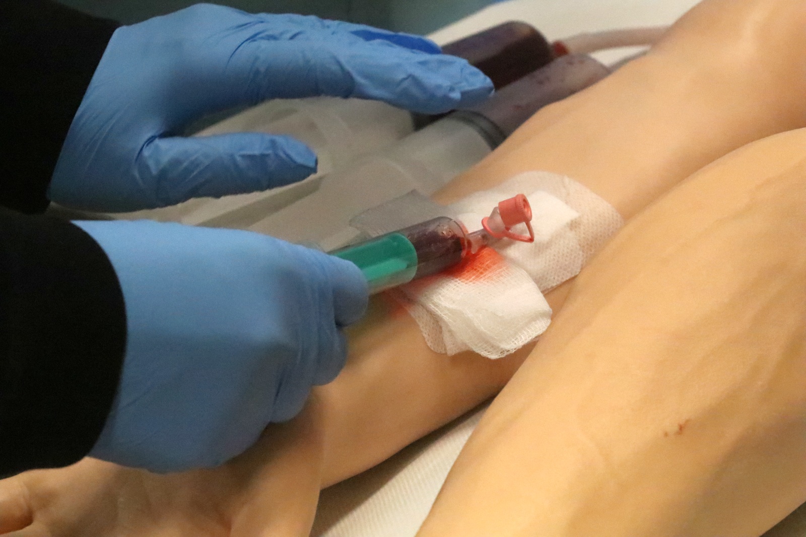 Dzień Otwartych Drzwi w Collegium Witelona Uczelni Państwowej