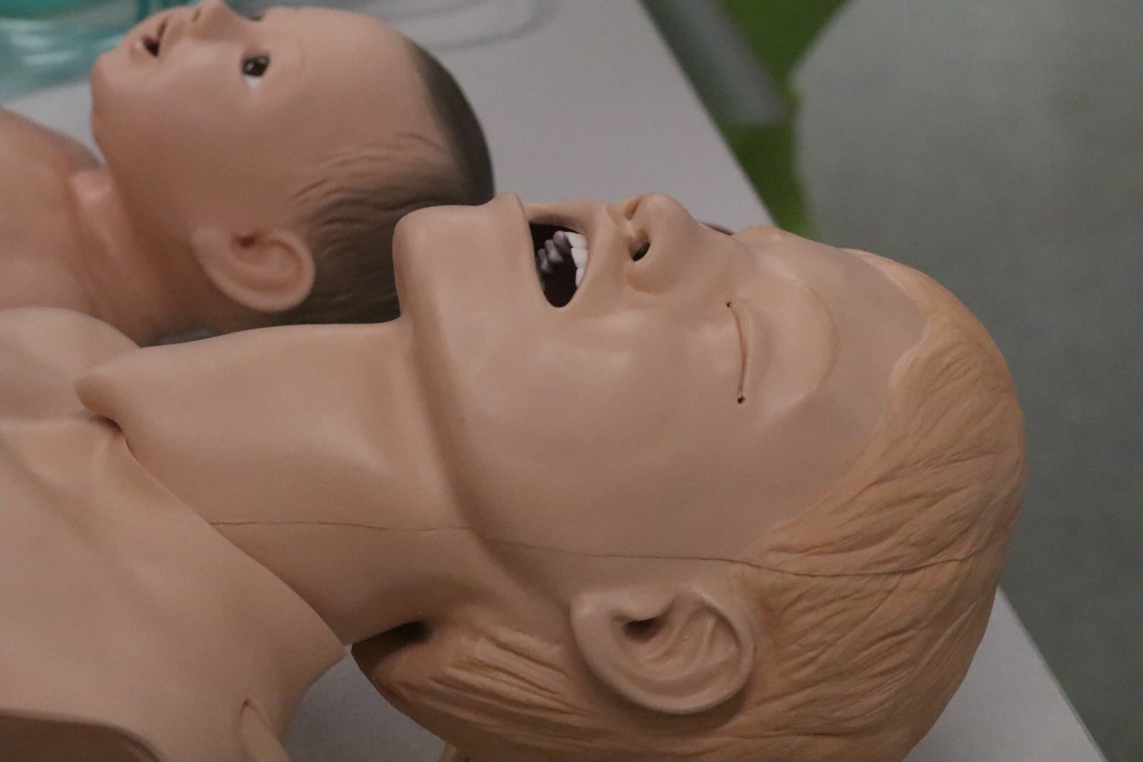 Dzień Otwartych Drzwi w Collegium Witelona Uczelni Państwowej