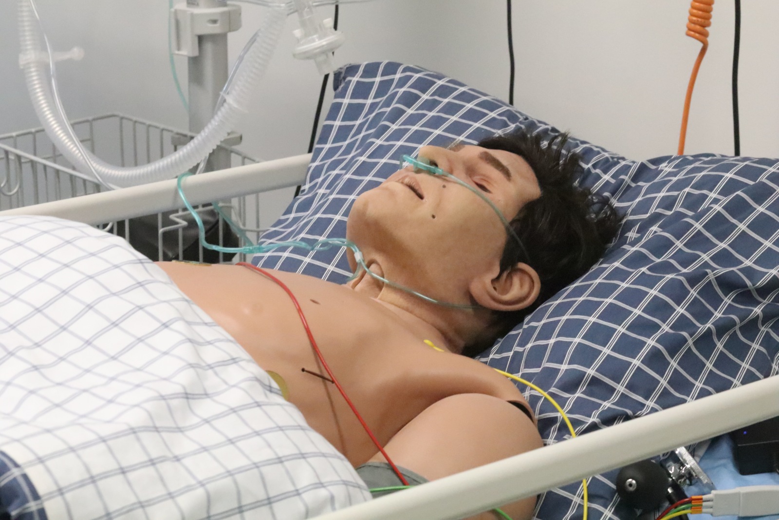 Dzień Otwartych Drzwi w Collegium Witelona Uczelni Państwowej