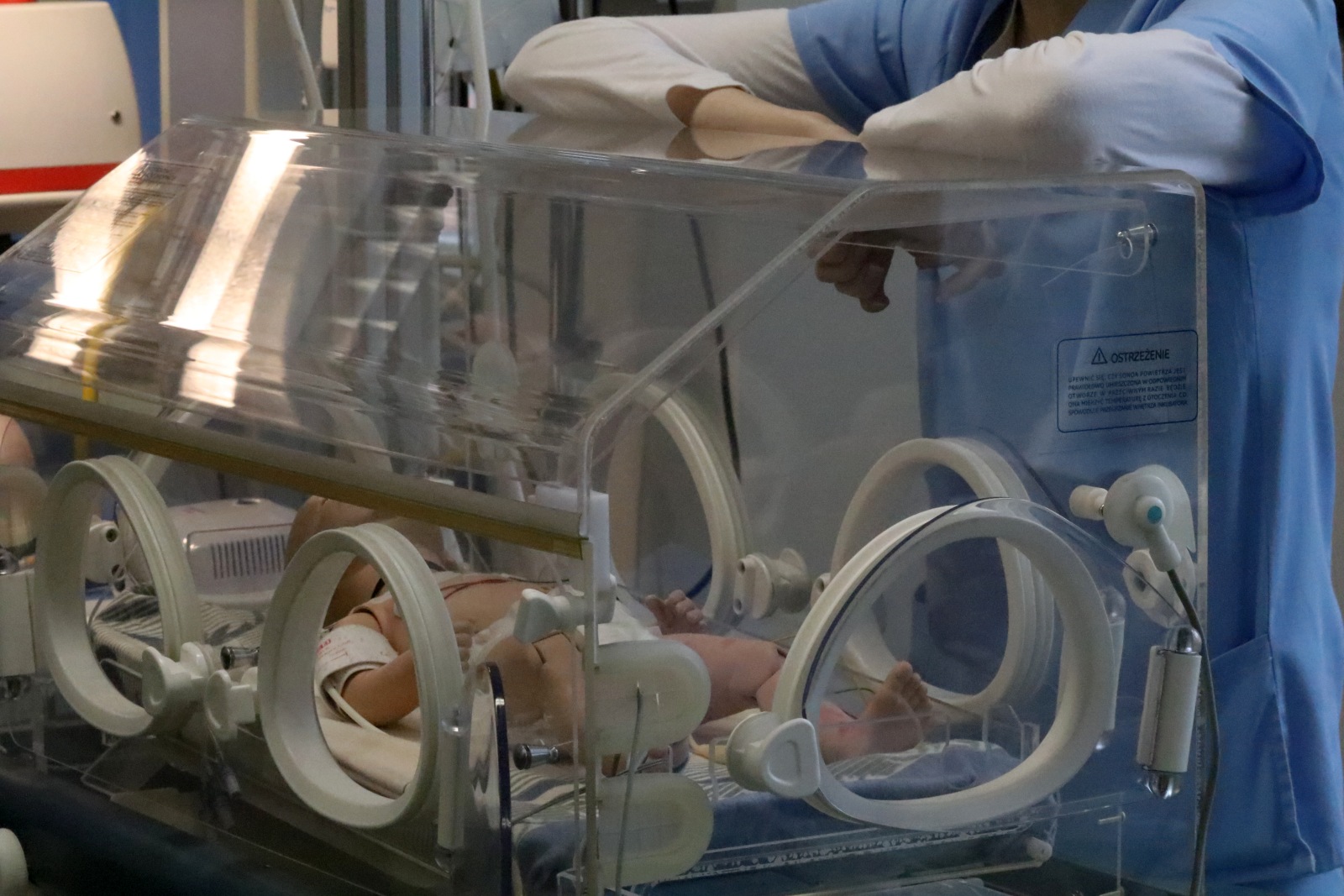 Dzień Otwartych Drzwi w Collegium Witelona Uczelni Państwowej