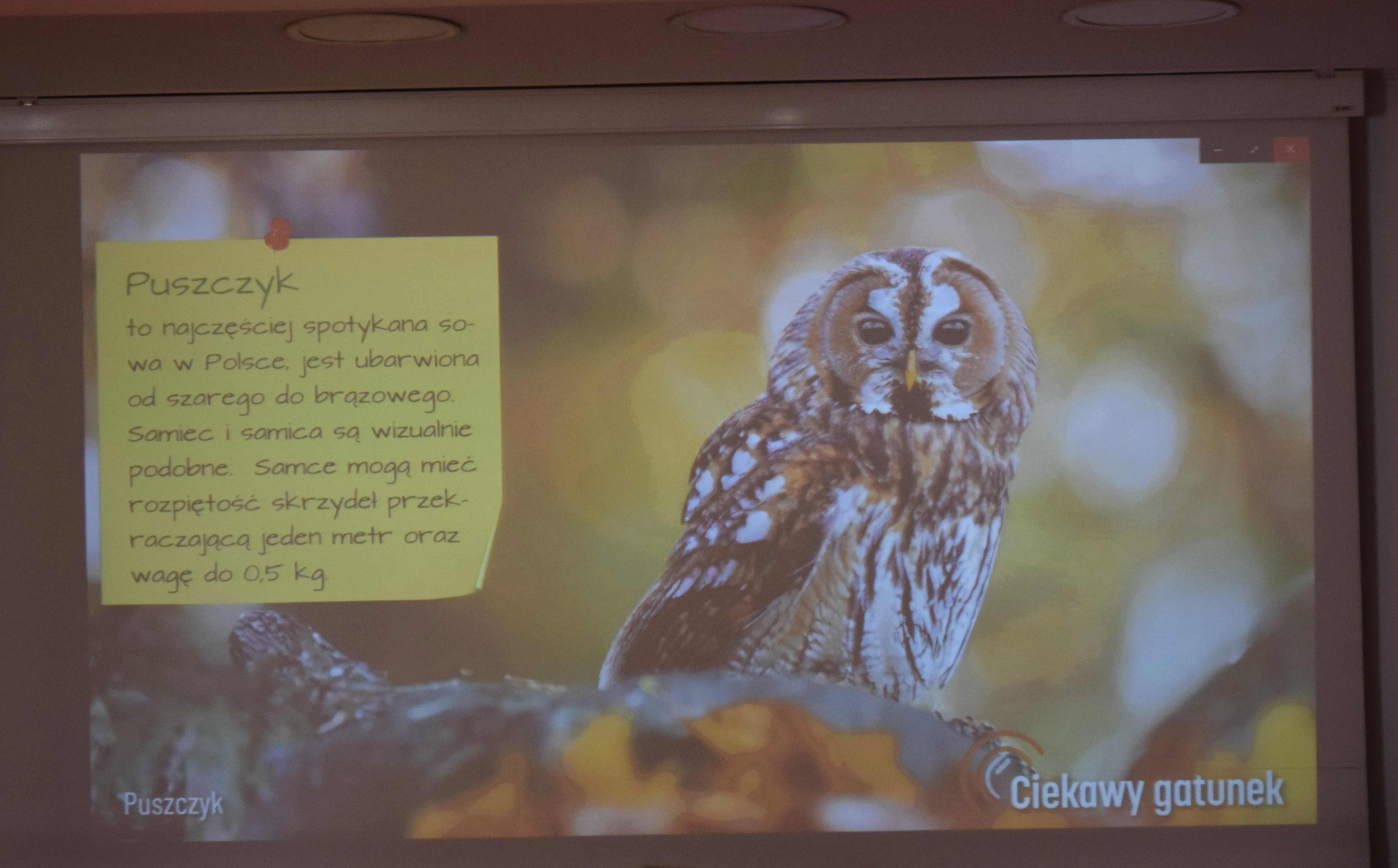 Omawiali aspekty działania programu edukacji ekologicznej