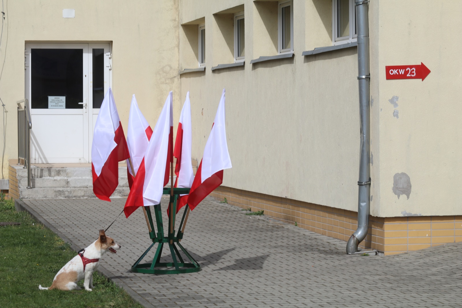 Legniczanie wybierają swoich przedstawicieli do samorządu